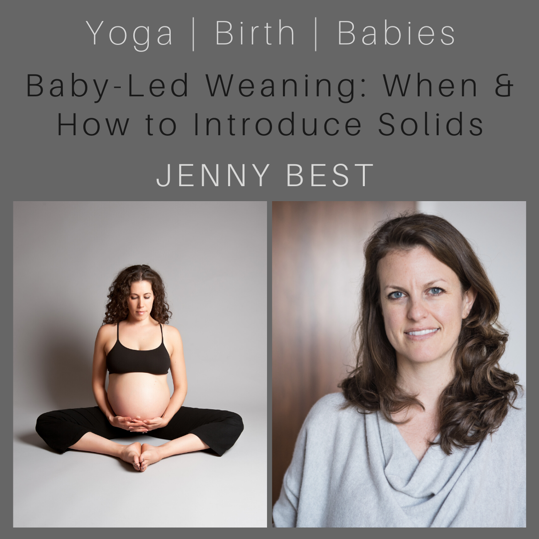 Baby-Led Weaning: When & How To Start Solids with Jenny Best Founder of Solid Starts episode artwork