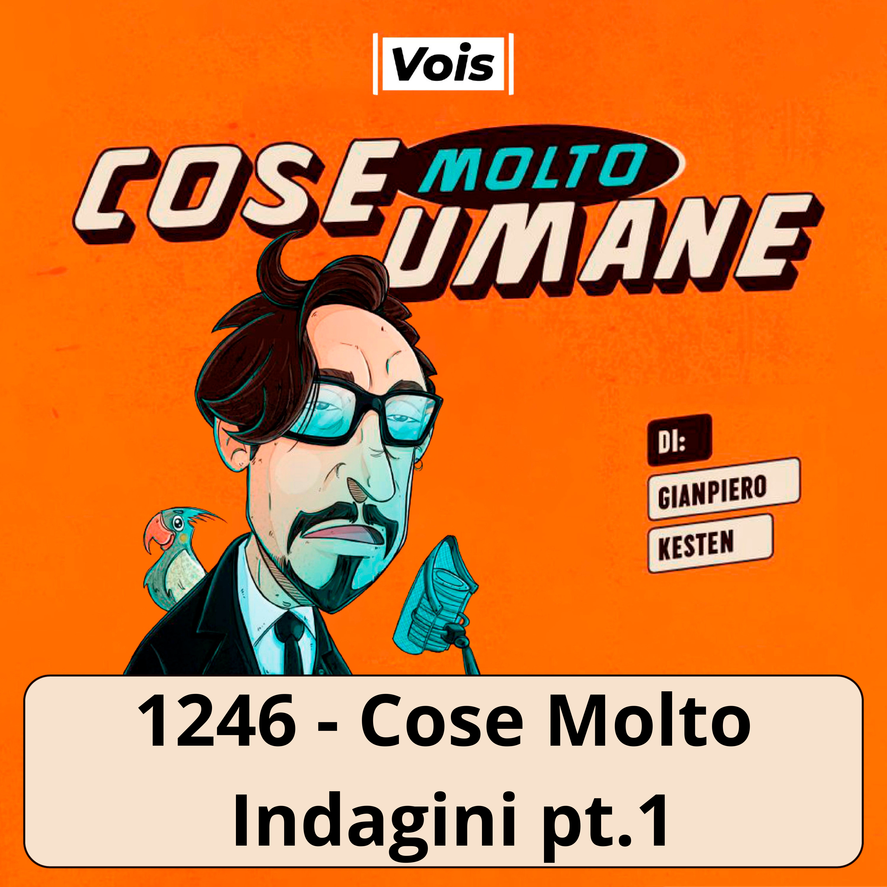 1246 - Cose Molto Indagini pt.1