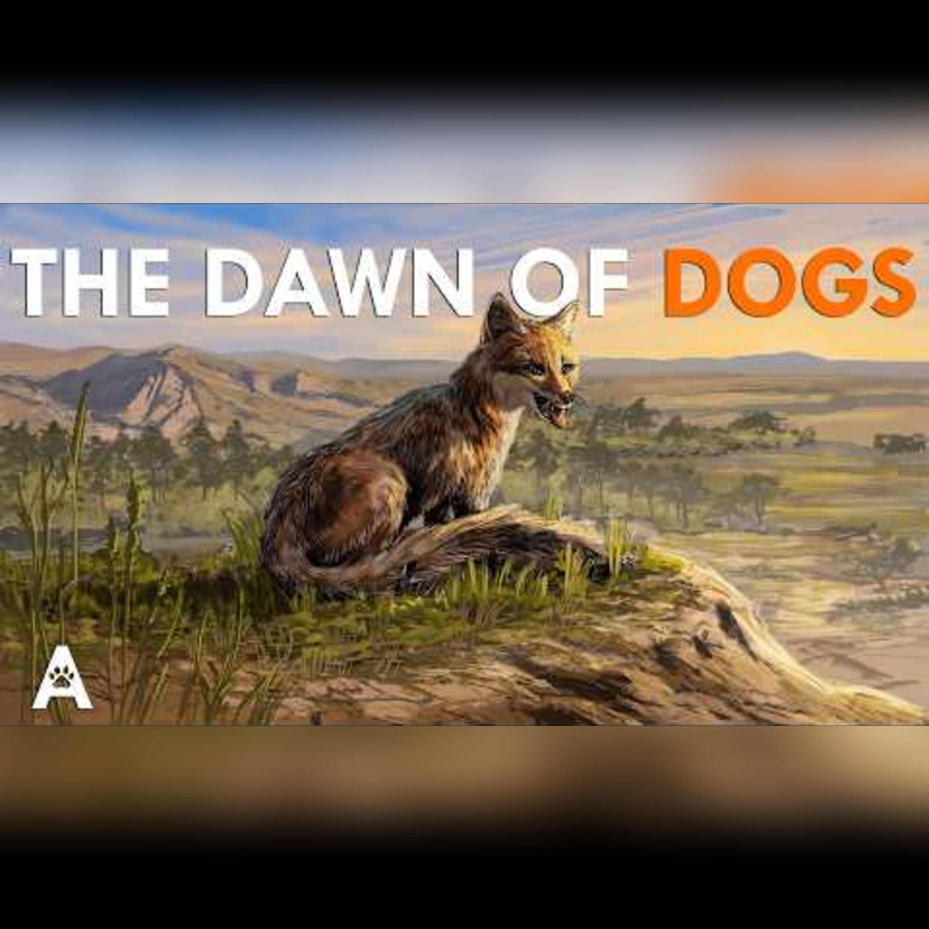 Why Did Dogs Evolve Into Their Current Forms? episode artwork