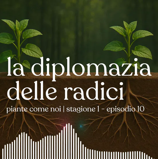 La diplomazia delle radici - Stagione 1 | Episodio 11 episode artwork