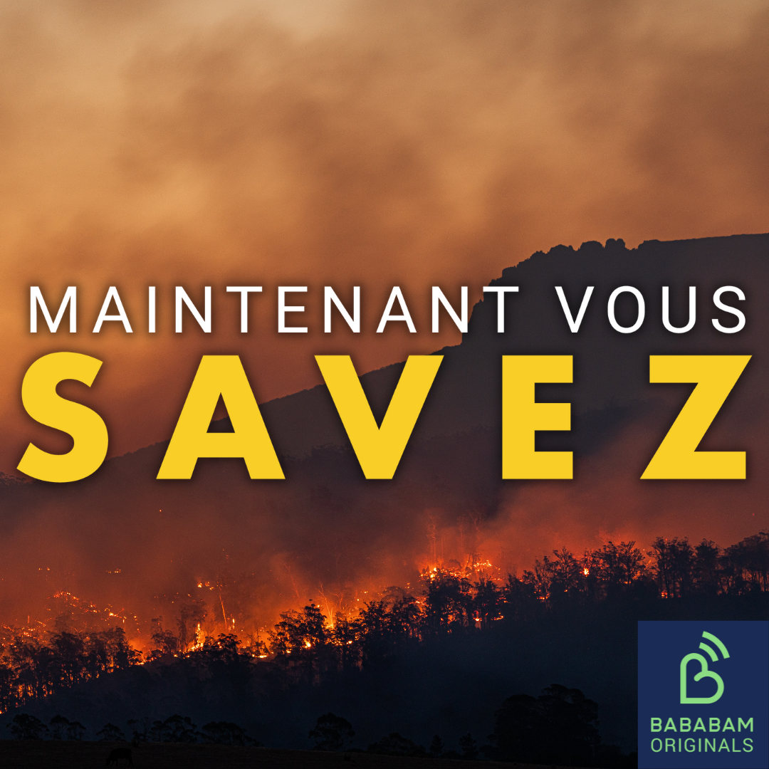 Comment fonctionne la météo des forêts, ce nouvel outil pour lutter contre les incendies ?