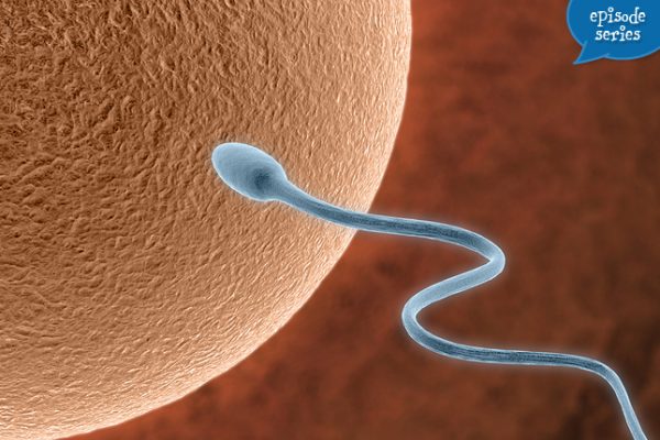 Getting Pregnant: Basic Infertility Evaluation