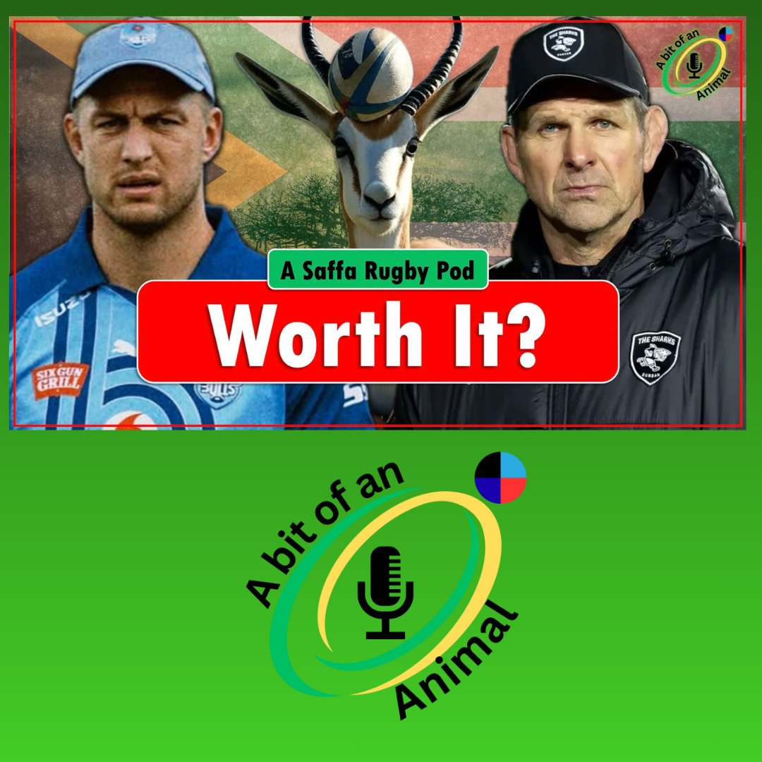 Stormers Or Nothing! Champions Cup & Challenge Cup Review