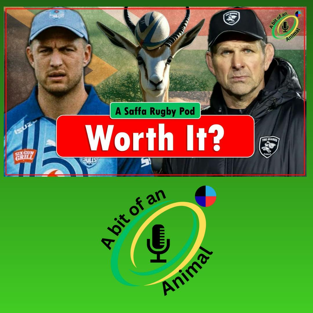 Stormers Or Nothing! Champions Cup & Challenge Cup Review Stormers Or Nothing! Champions Cup & Challenge Cup Review