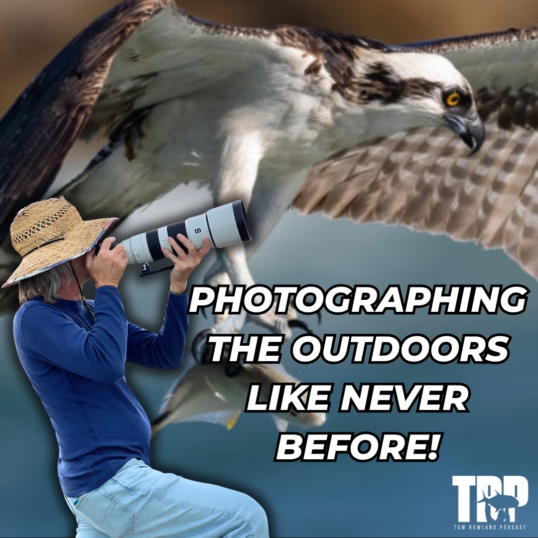 Mark Smith | Wildlife Photographer