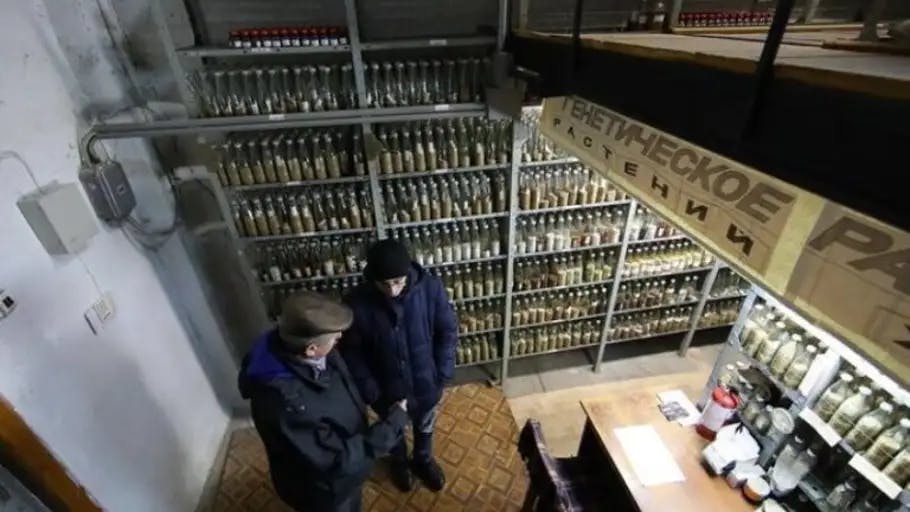 Ángeles Lucas: "La operación de salvar las semillas de Jarkov se consideró de emergencia" Ángeles Lucas: "La operación de salvar las semillas de Jarkov se consideró de emergencia"