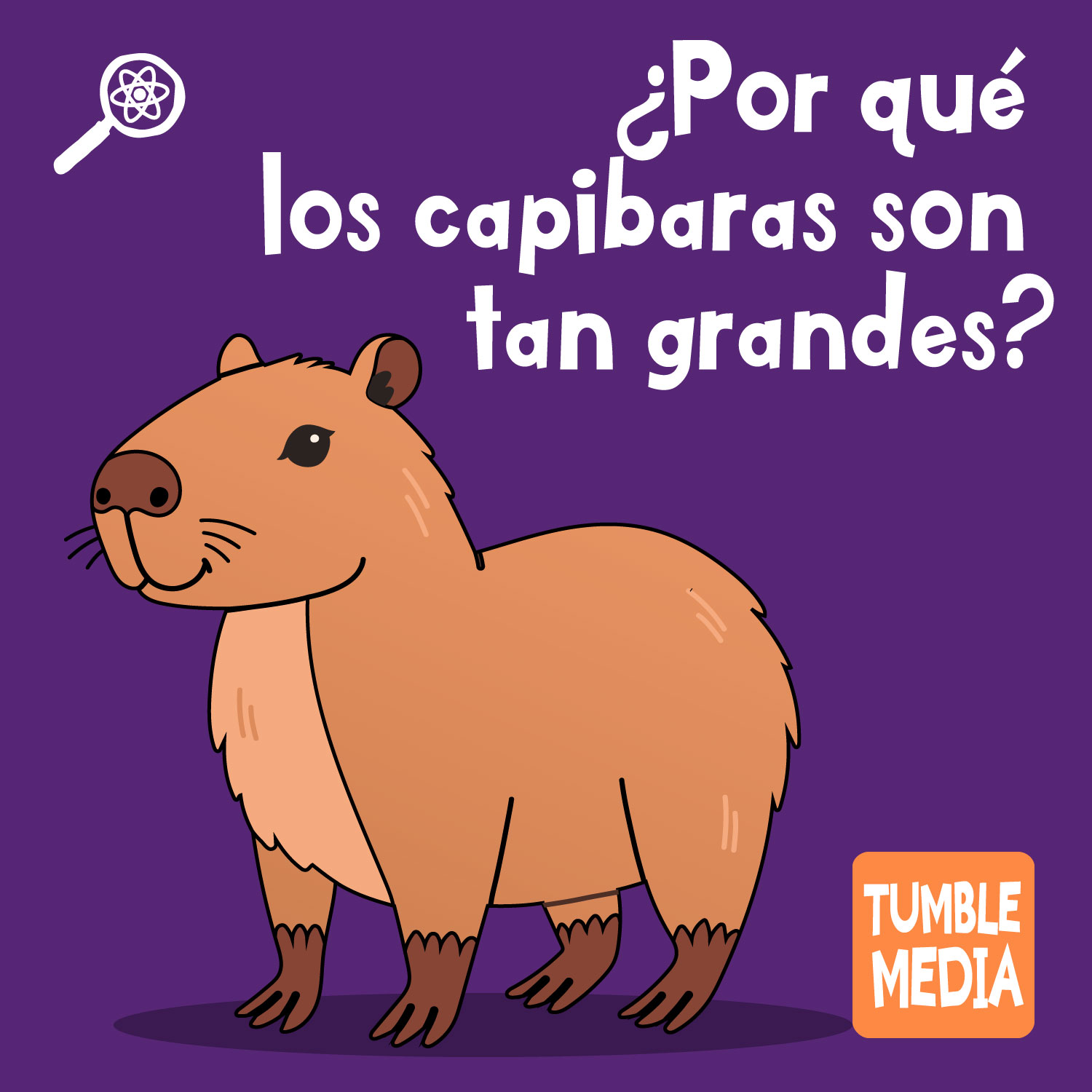 ¿Por qué los capibaras son tan grandes?