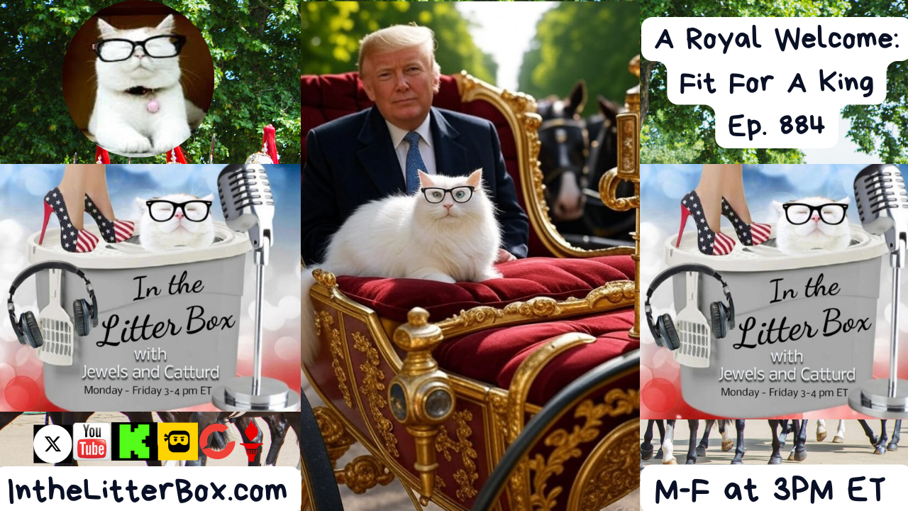 A Royal Welcome: Fit For A King | In the Litter Box w/ Jewels & Catturd – Ep. 884 9/18/2025