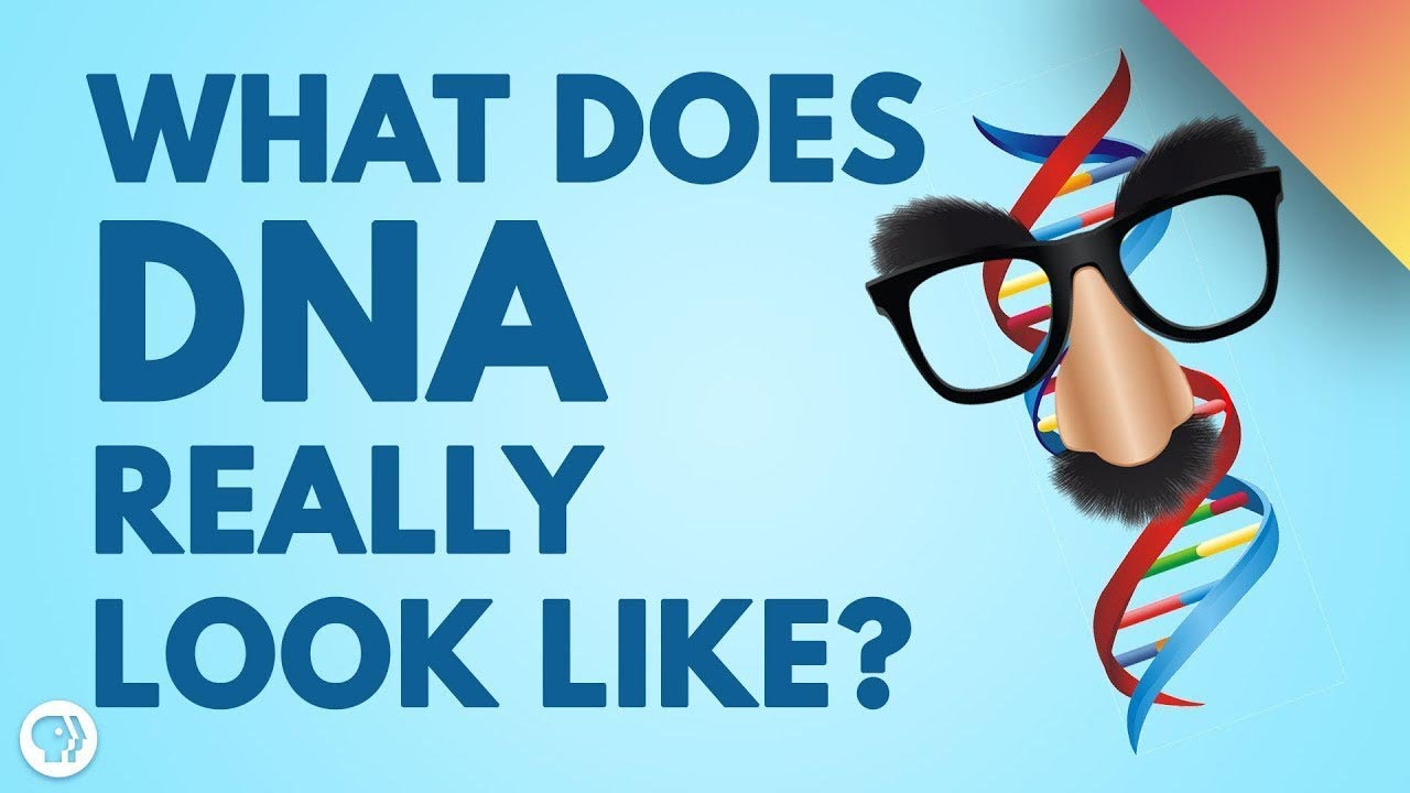 DNA Doesn’t Look Like What You Think! episode artwork