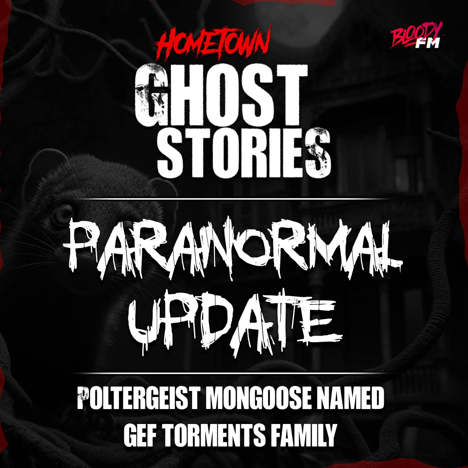 Paranormal Update:  Poltergeist Mongoose Named Gef Torments Family