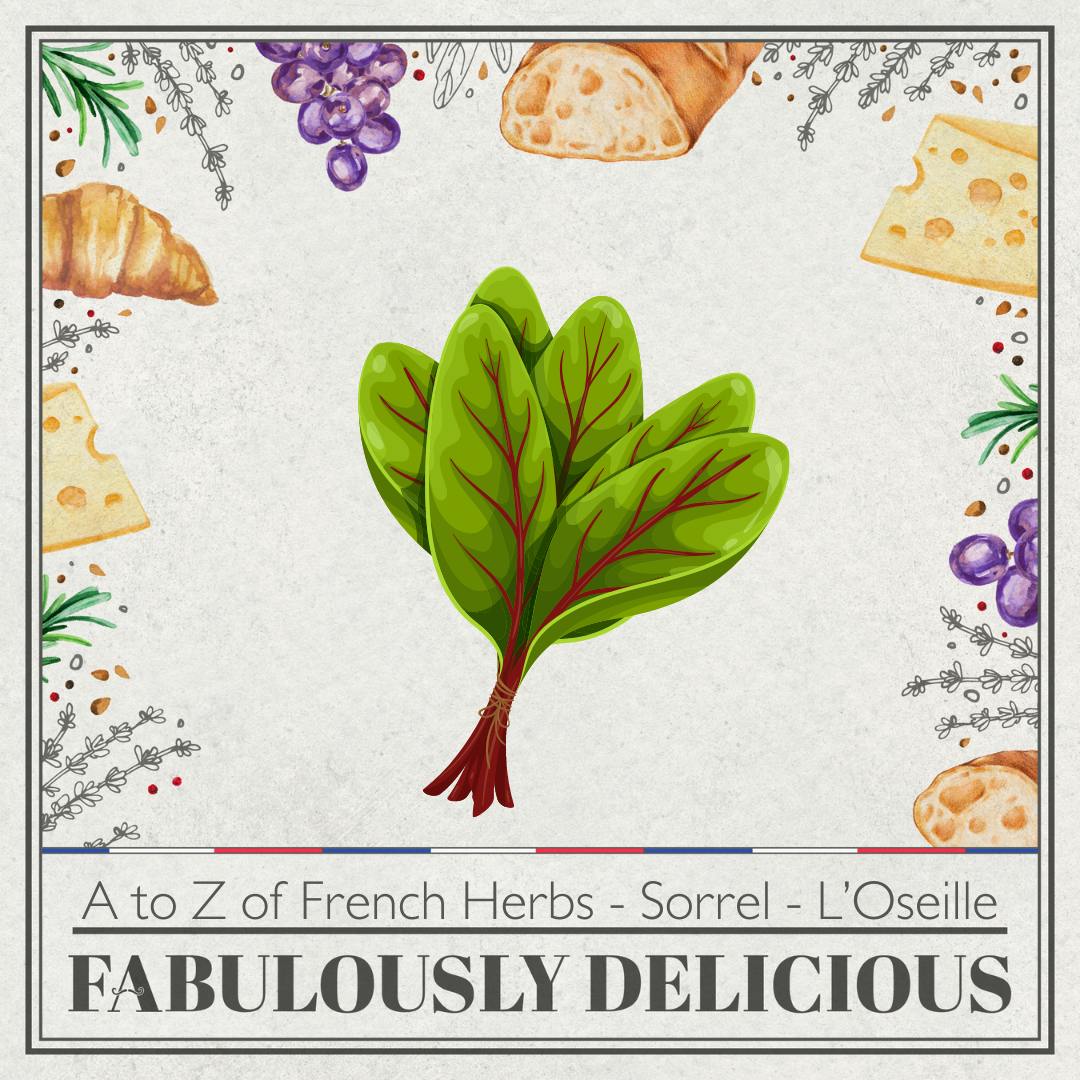 A to Z of French Herbs - Sorrel - L’Oseille
