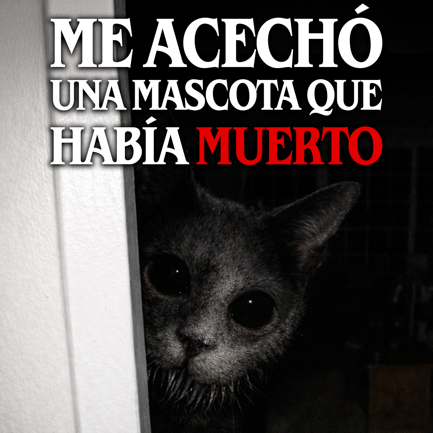 Me acechó una mascota que había muerto