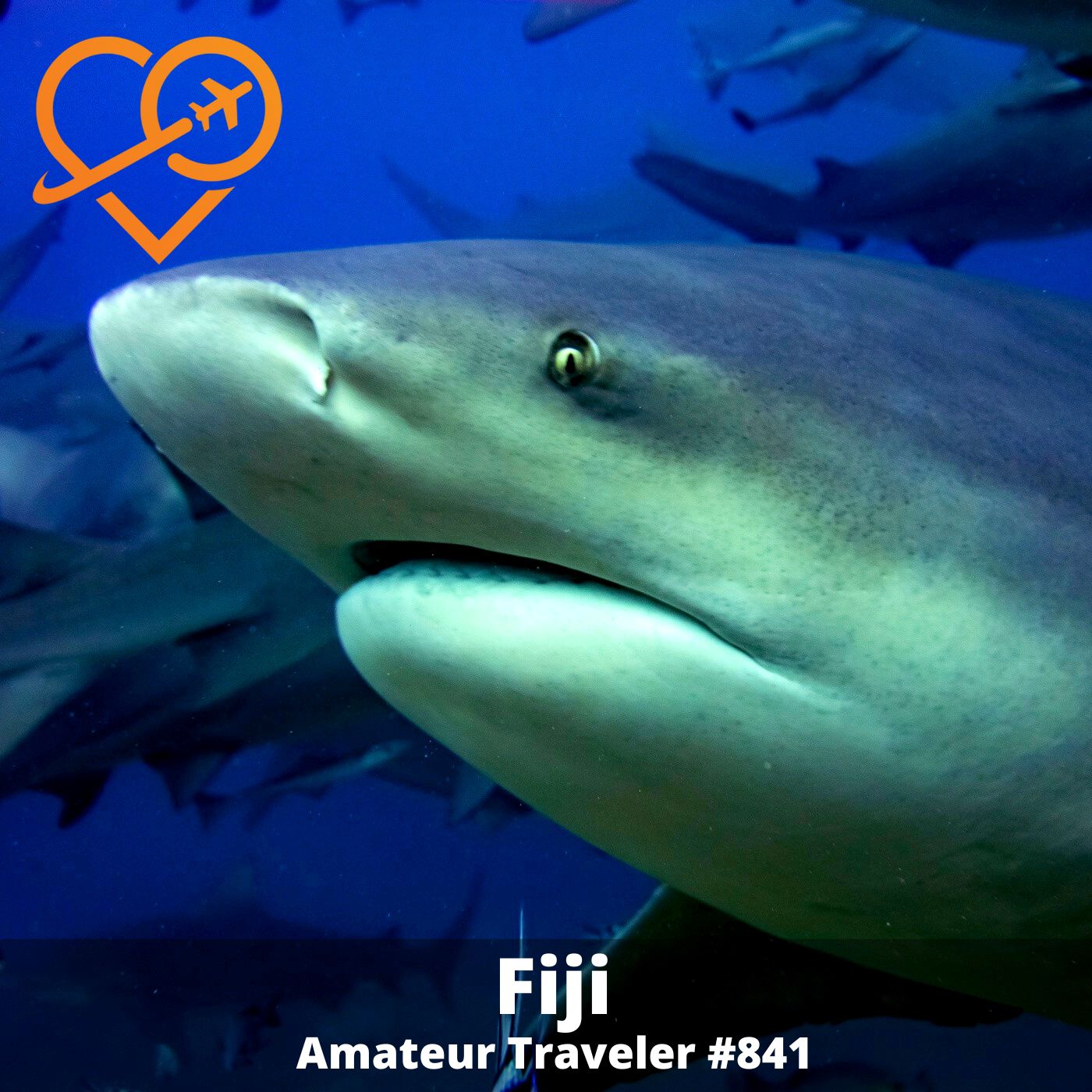 Travel to Fiji (Viti Levu and Taveuni)