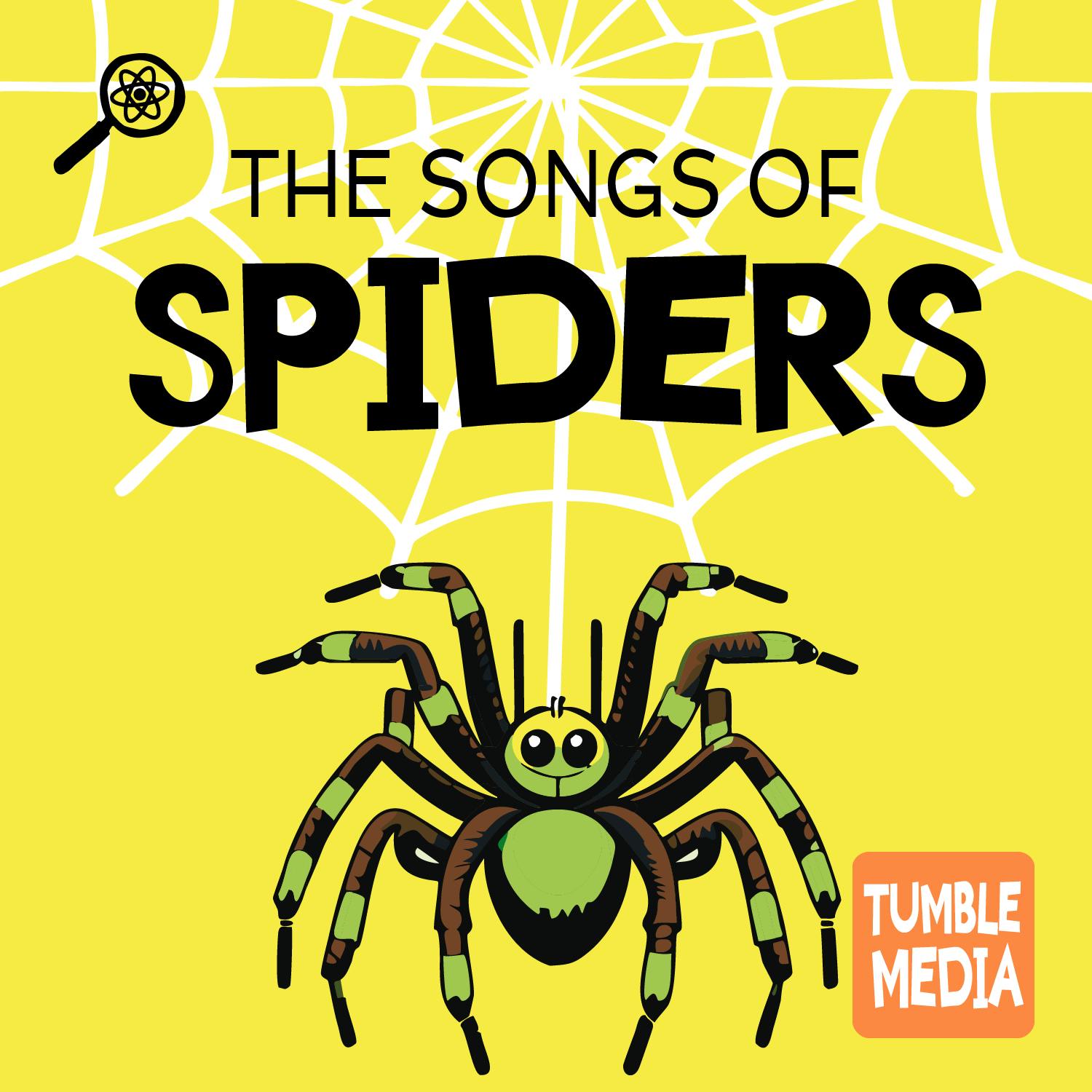 The Songs of Spiders