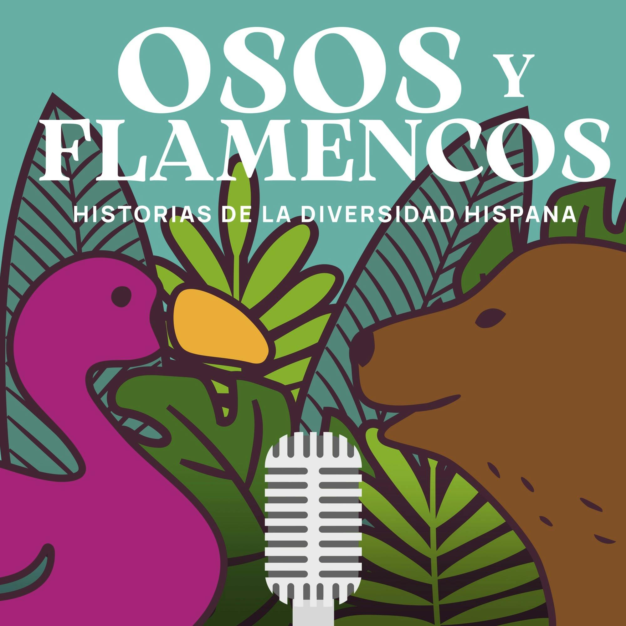 Osos y flamencos