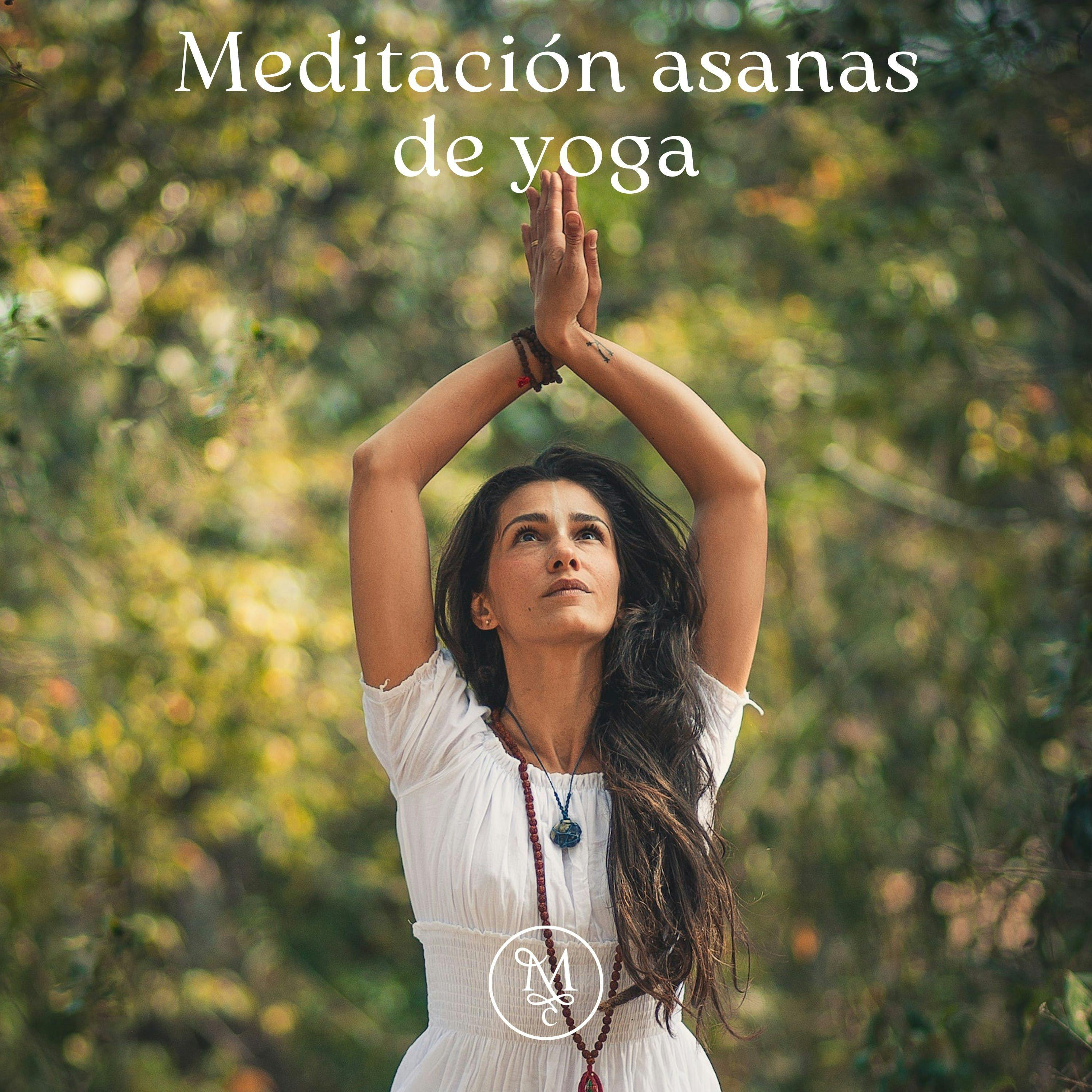 Meditación asanas de yoga 🕊️🧘‍♀️🎋 | 10 minutos | Encuentra tu paz interior ✨