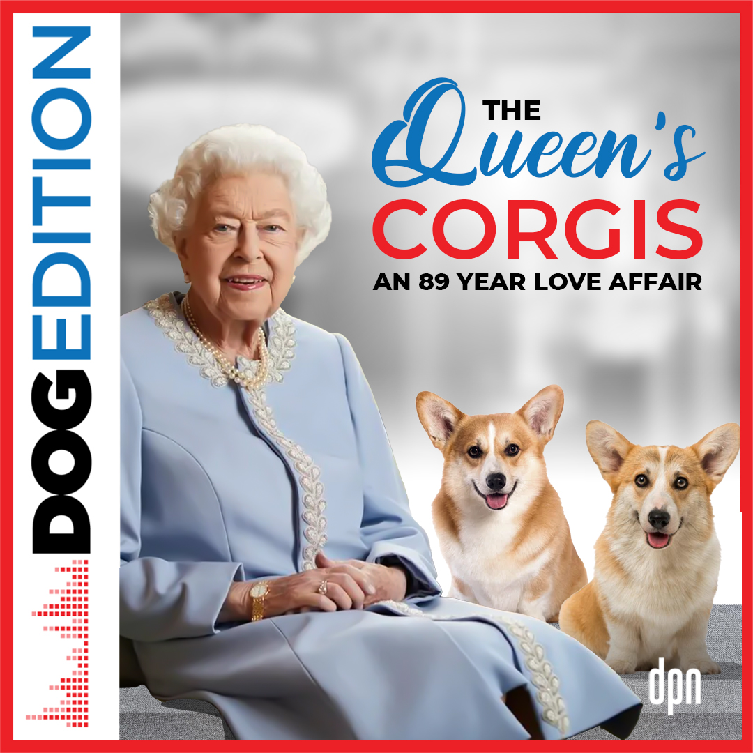 The Queen’s Corgis: An 89-Year Love Affair | Dog Edition #65