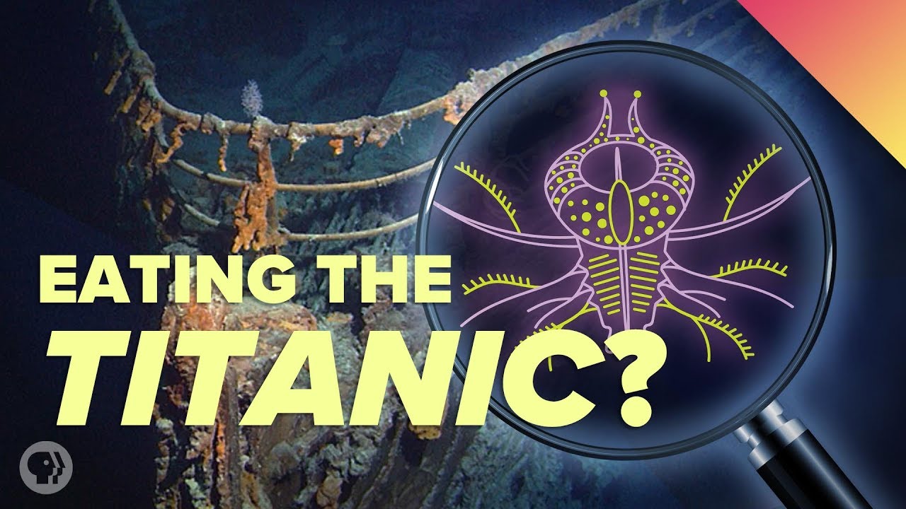 Extreme Deep Sea Creatures Are Eating The Titanic! episode artwork