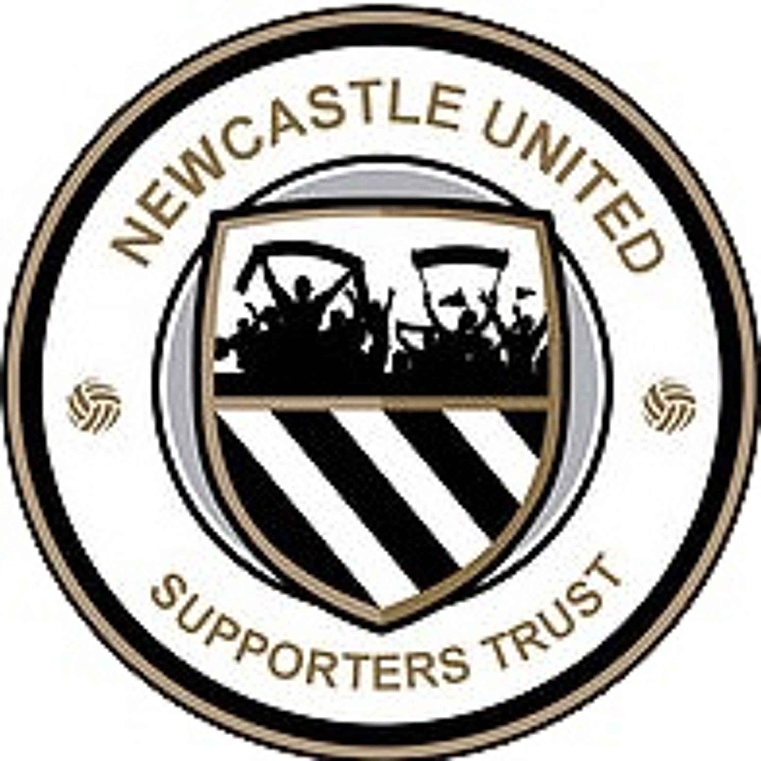 Podcast: Steve Wraith on Rafa's departure and Newcastle United Supporters Trust Q & A