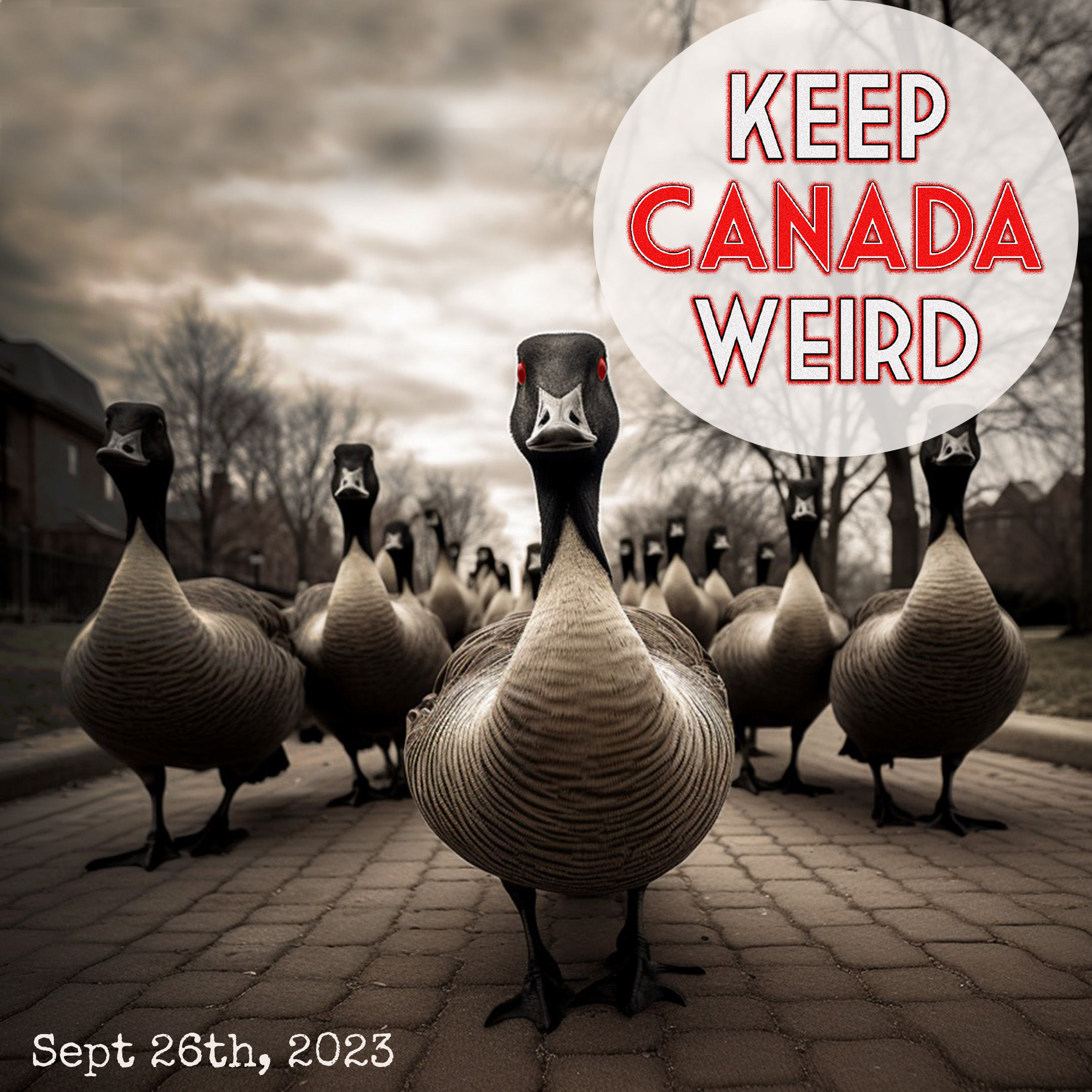 KEEP CANADA WEIRD - Sept 26th, 2023 - Canada Geese attack, 1000 mysterious condoms, STOP TWERKING, and honest obituary