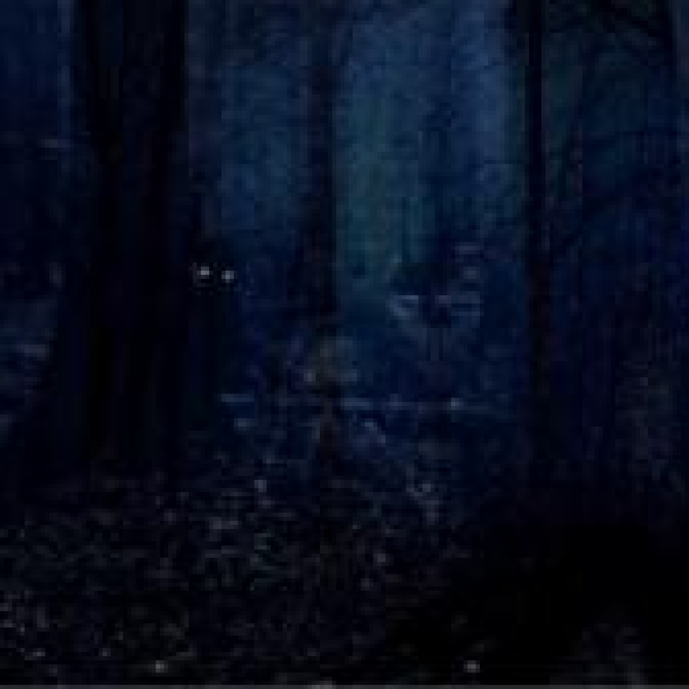 PROMENONS-NOUS DANS LES BOIS !