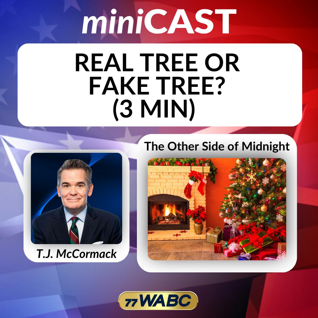 T.J. McCormack: Real Tree Or Fake Tree? (3 min) T.J. McCormack: Real Tree Or Fake Tree? (3 min)