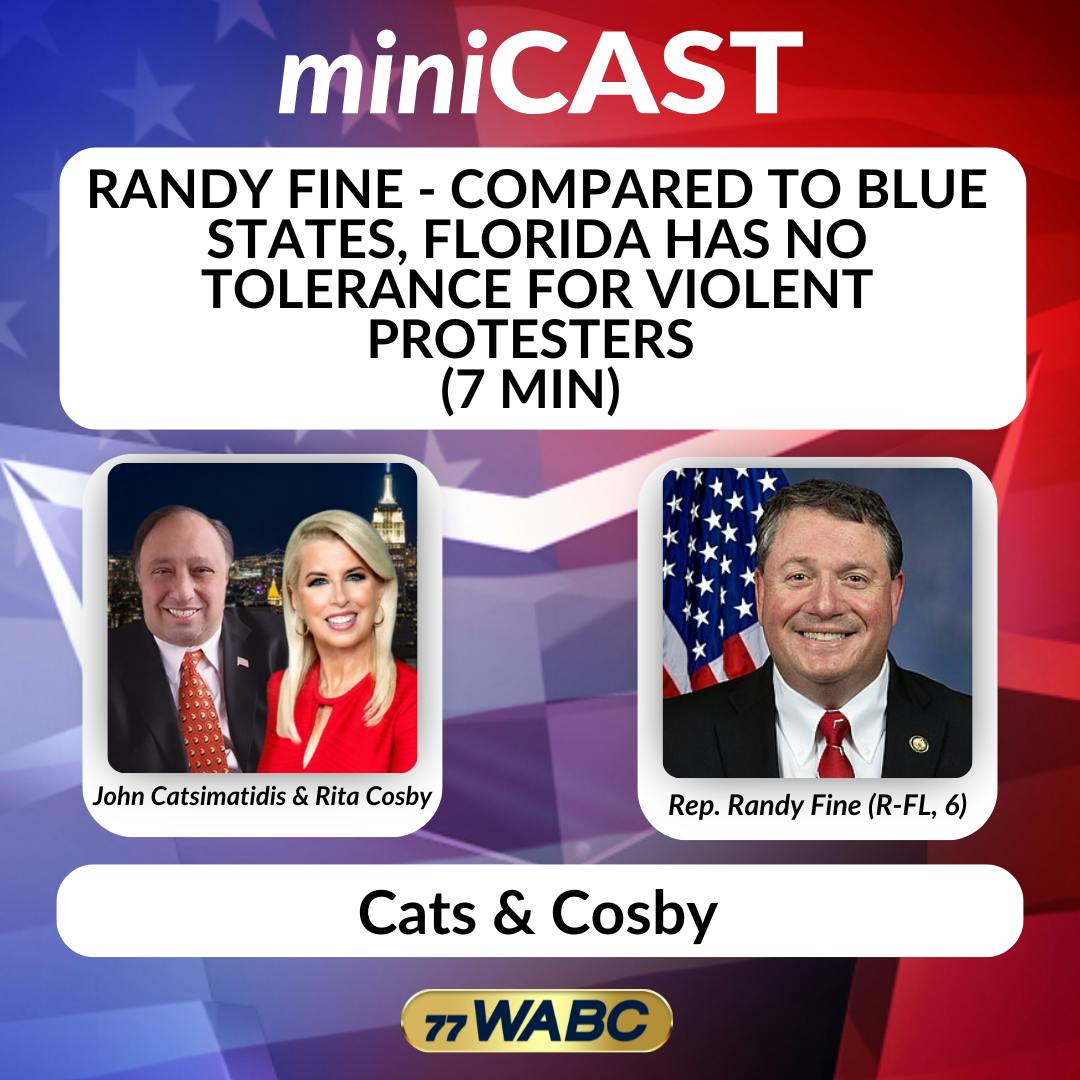 Rep. Randy Fine - Compared to Blue States, Florida Has No Tolerance for Violent Protesters Rep. Randy Fine - Compared to Blue States, Florida Has No Tolerance for Violent Protesters