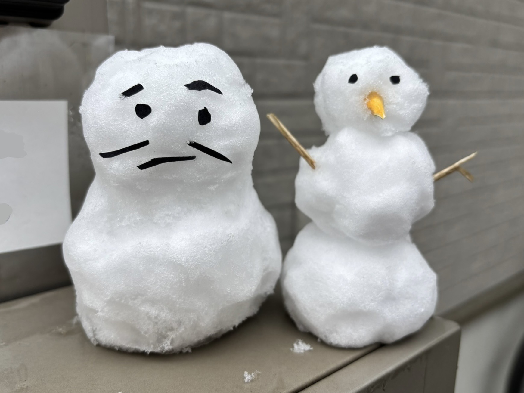 #74 静岡・清水の雪は奇跡？ちびまる子ちゃんの世界にデータで迫る