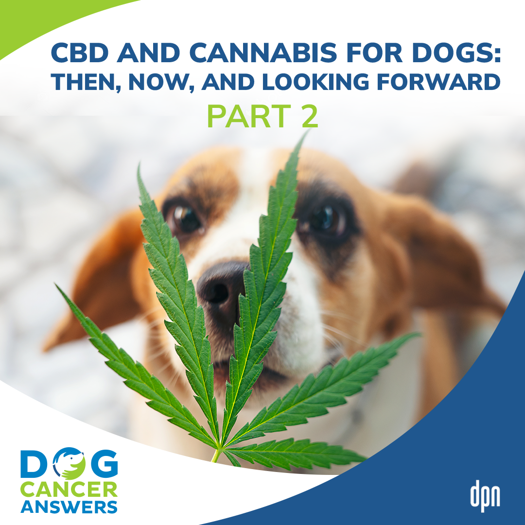 CBD and Cannabis for Dogs: Then, Now, and Looking Forward Part 2 | Dr. Narda Robinson #220