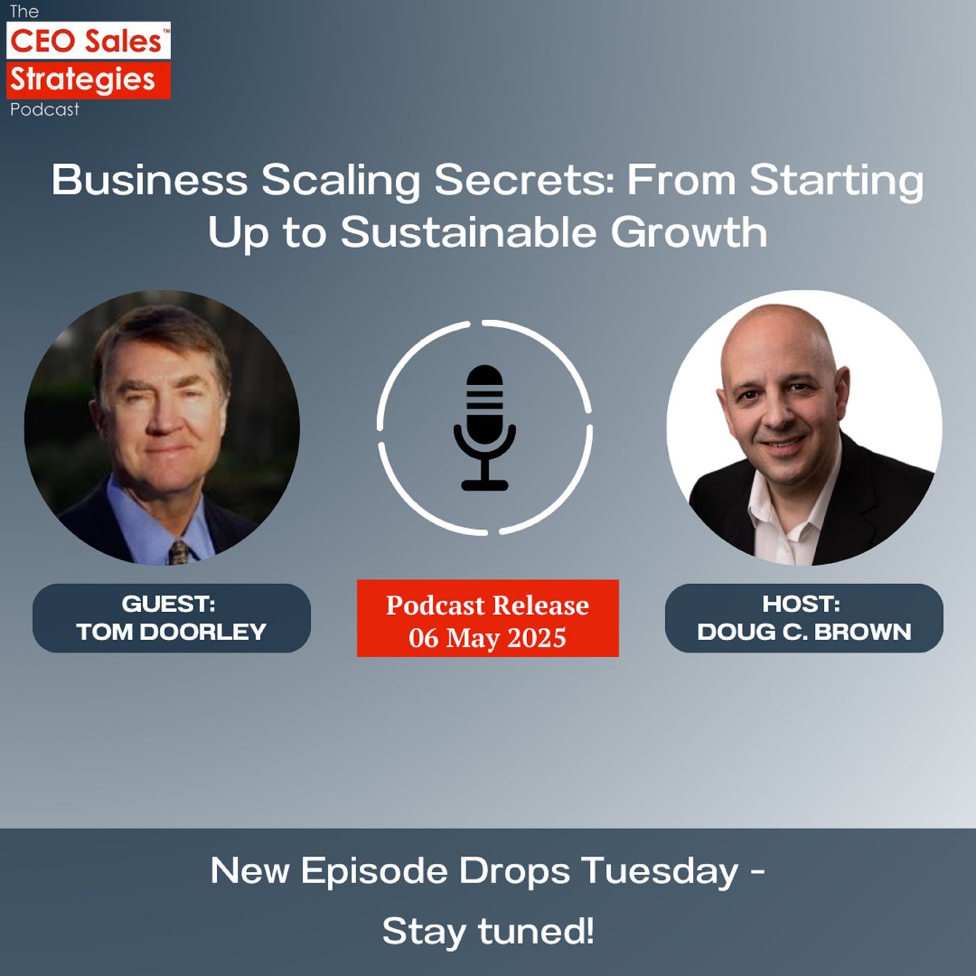 Business Scaling Secrets: From Starting Up to Sustainable Growth [Episode 185] episode artwork