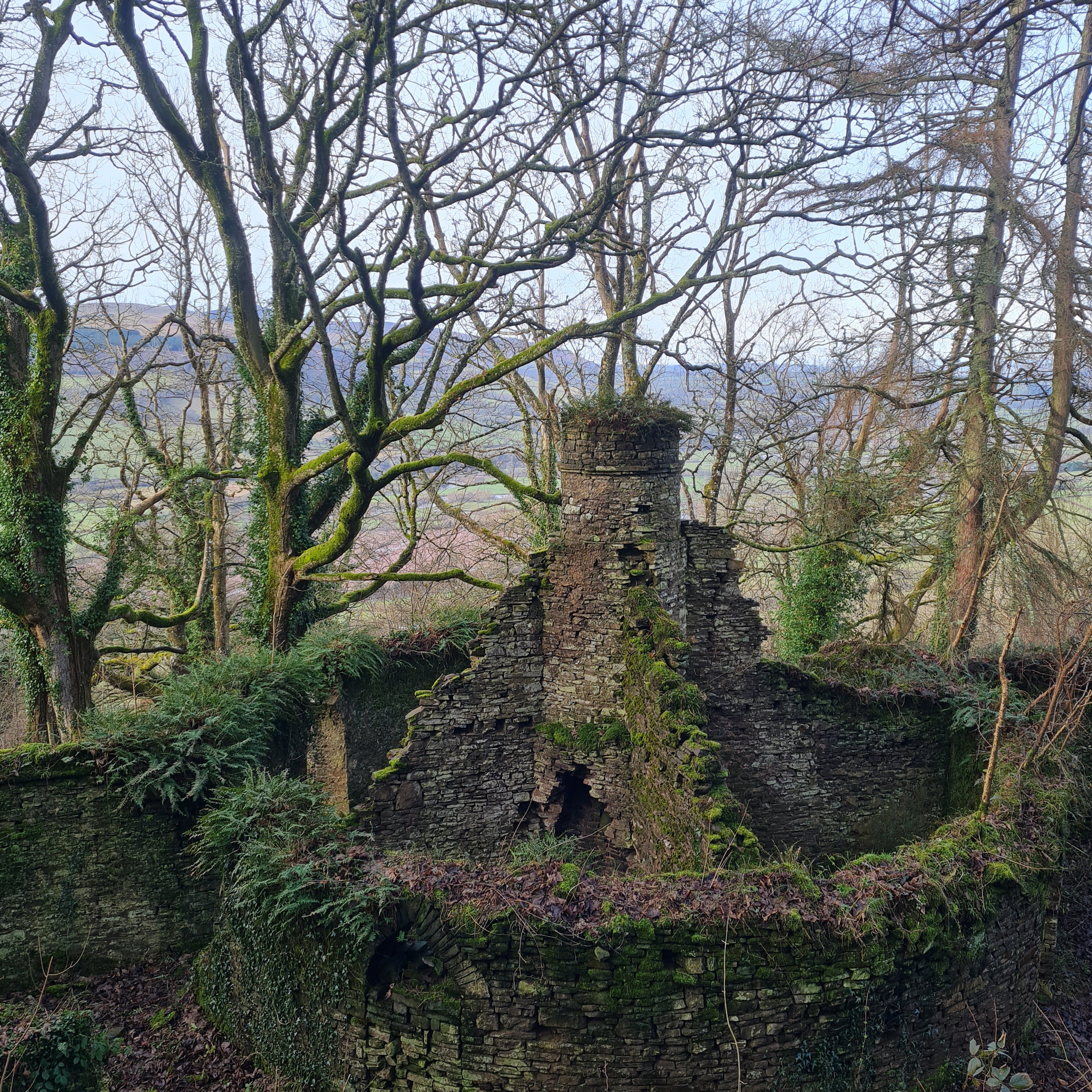 285. A quest to find a mysterious ruined tower on a forgotten hill in the Bannau