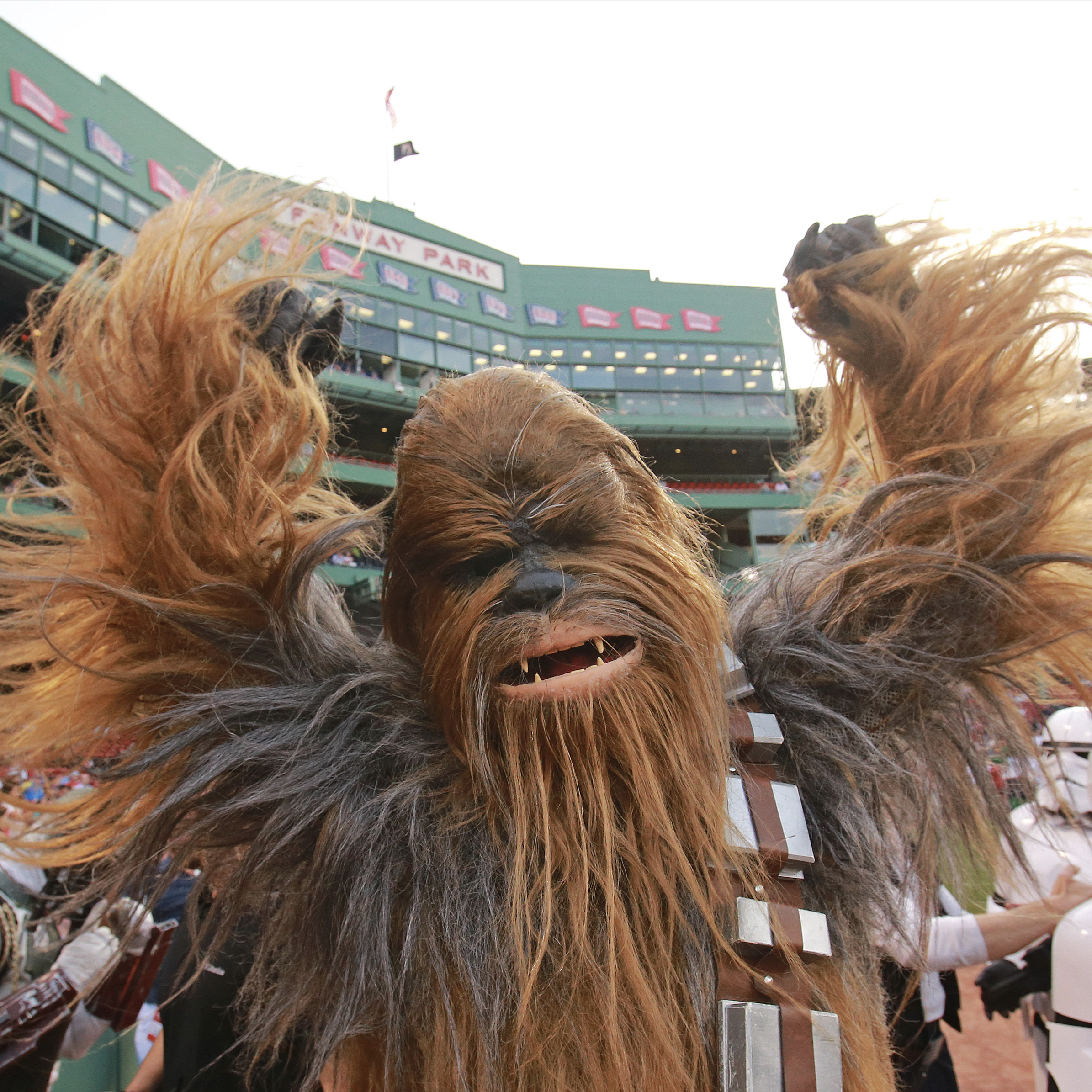 From the bees to Notre Dame as a wookie episode artwork