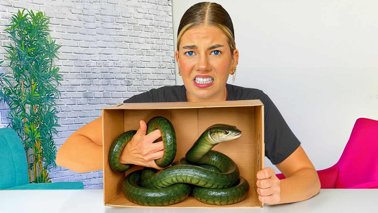 Extreme Whats In The Box Challenge!