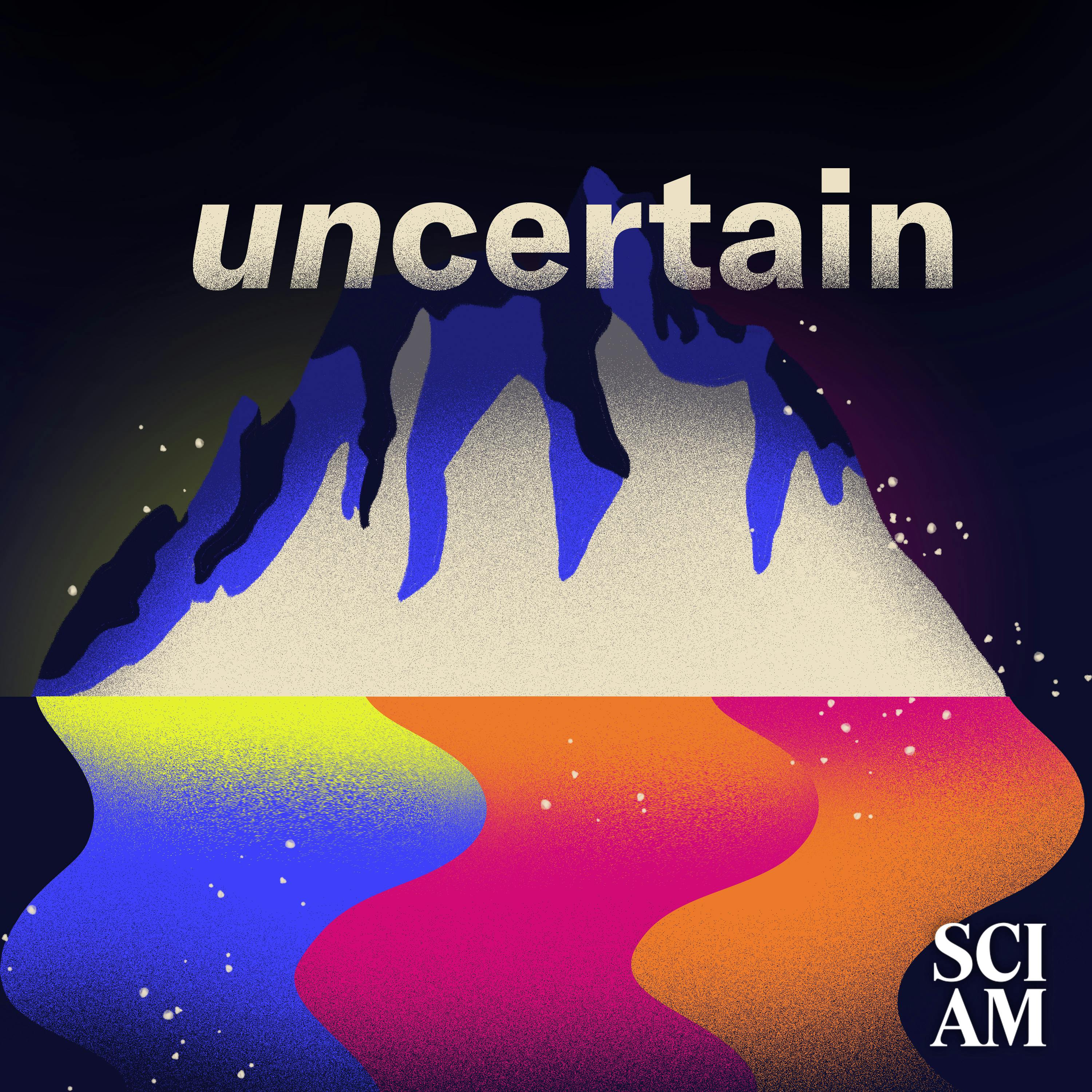 Episode 3: When Uncertainty Hides in the Blindspot of Overconfidence