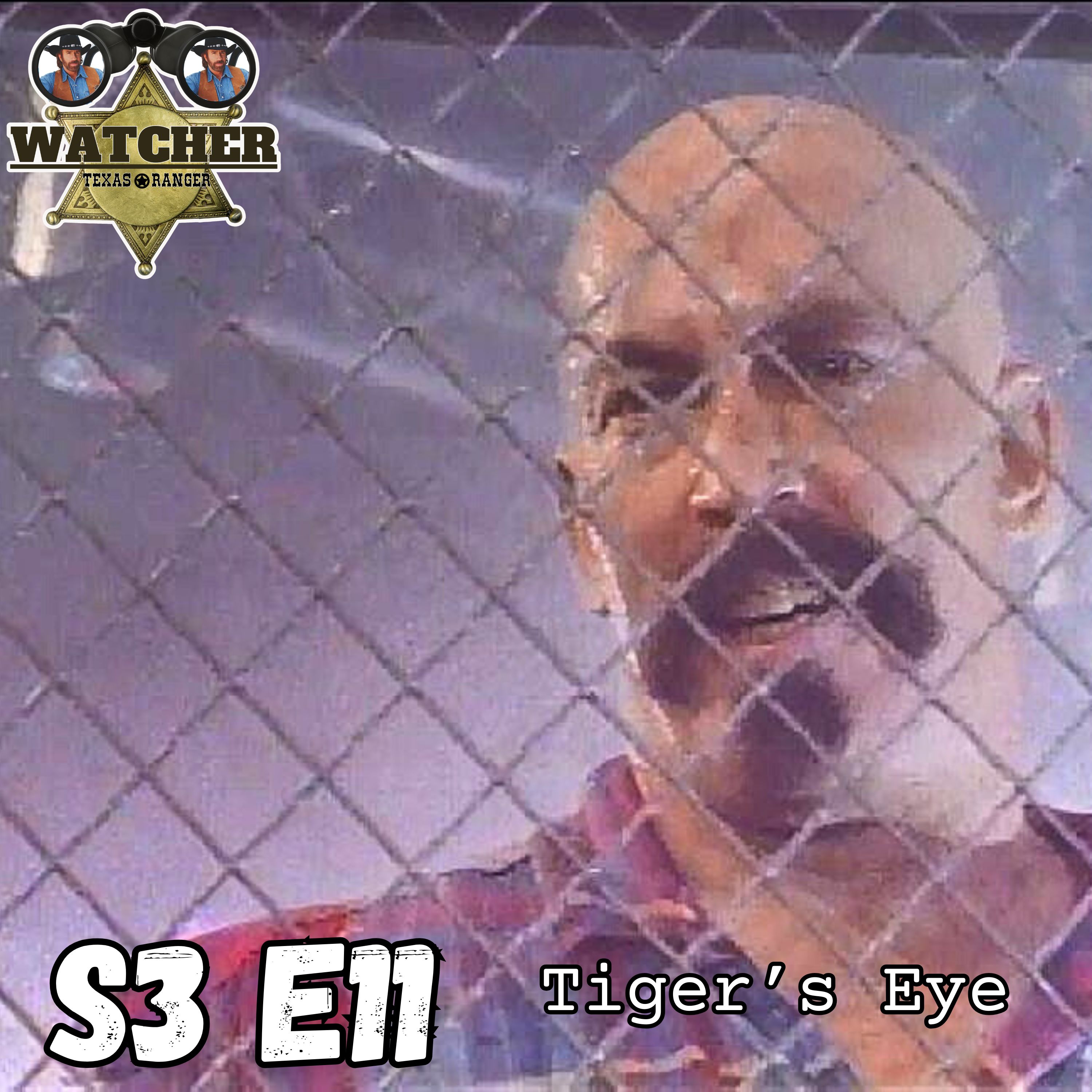S3 E11 Tiger's Eye