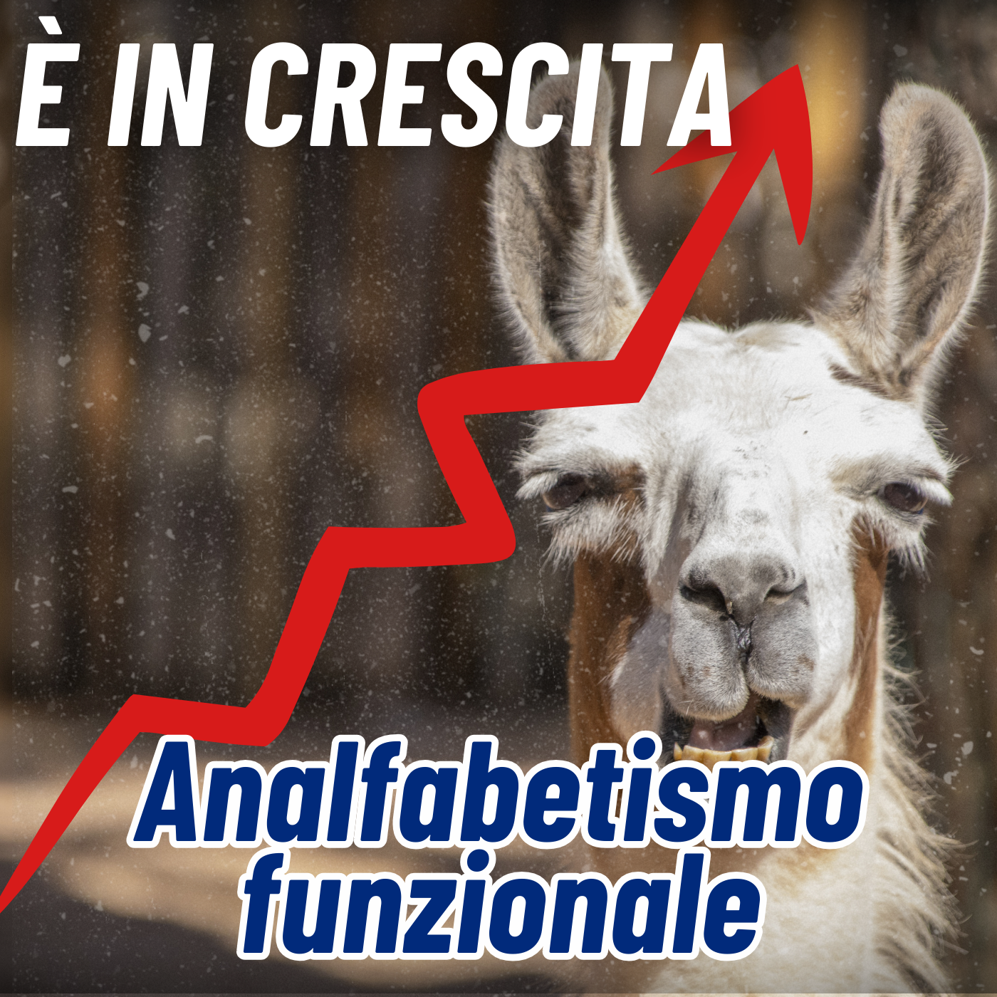 L'Analfabetismo Funzionale è in Crescita: perché e cosa fare?