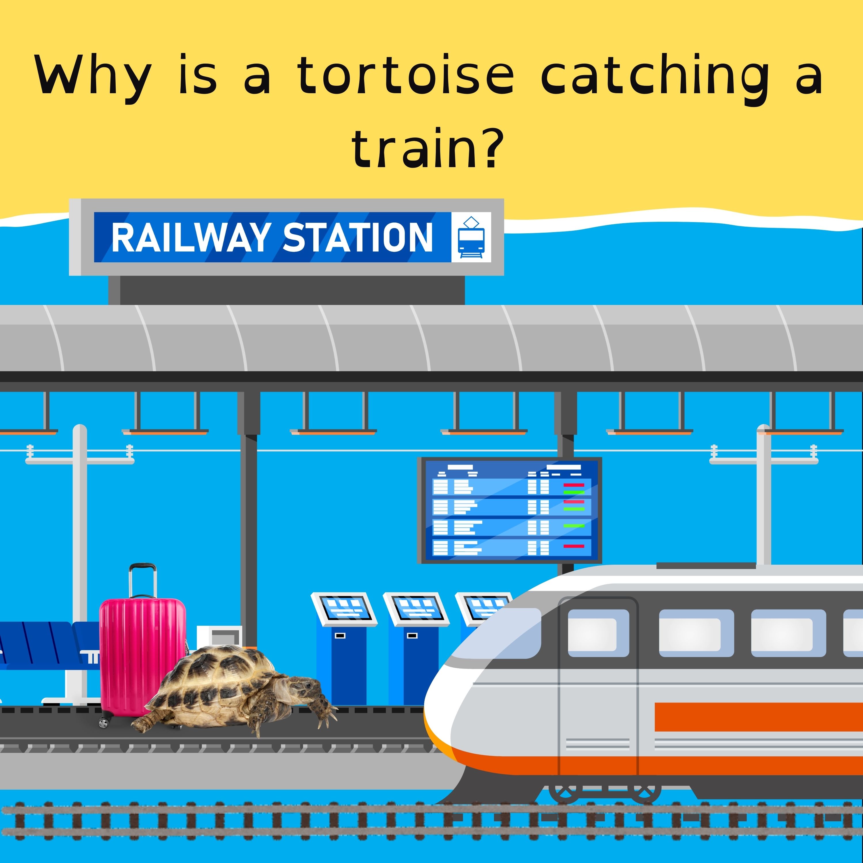 Hottest day in history; France’s scratch-and-sniff postcards; the fake Fortnite Disney park; and the tortoise who went for a train ride