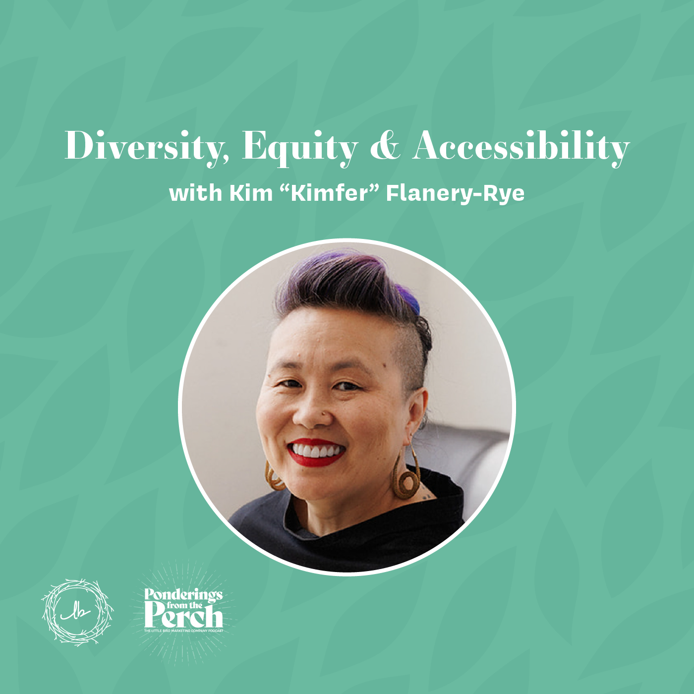 DEI 201: Diversity, Equity, and Accessibility with Kim "Kimfer" Flanery-Rye episode artwork