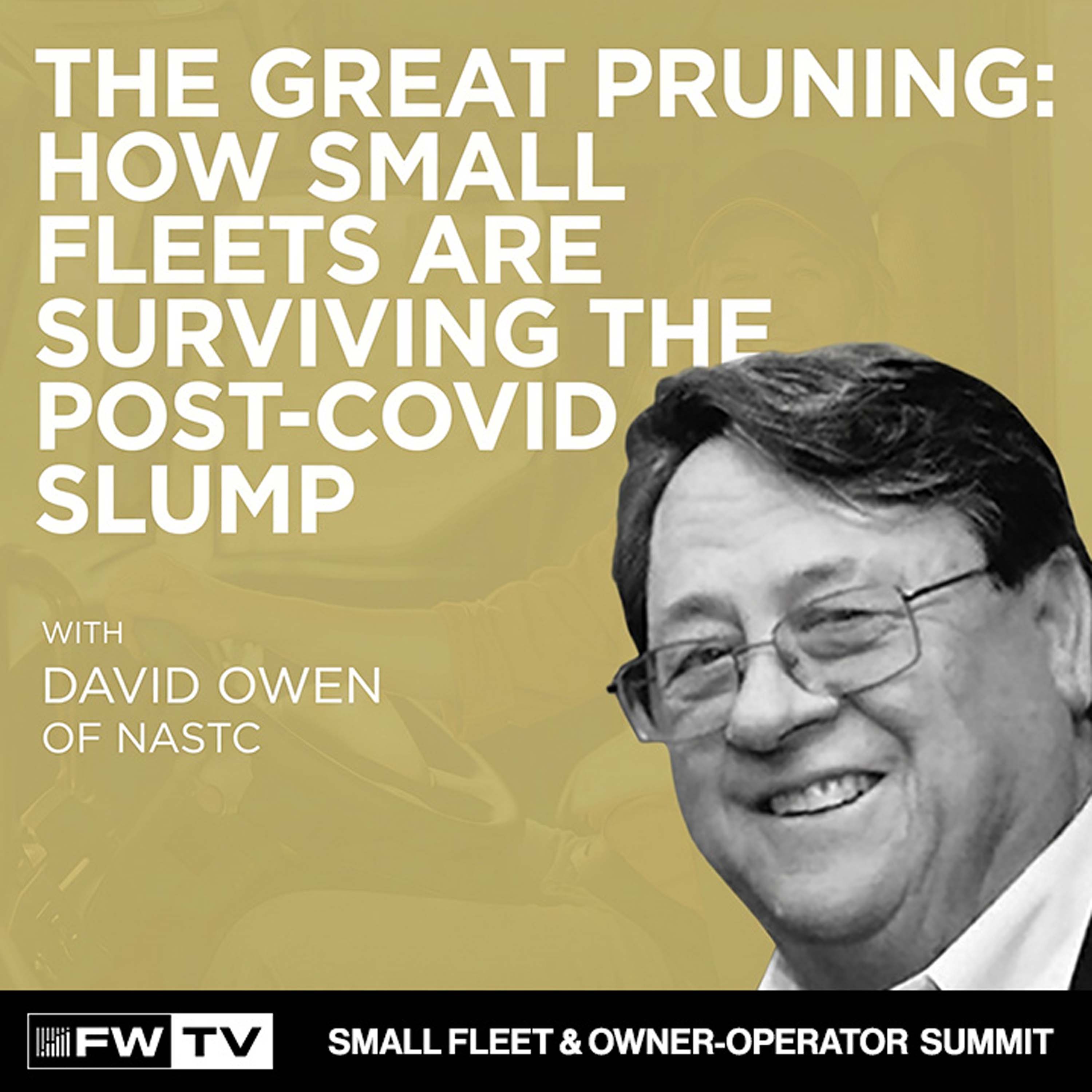 The Great Pruning: How Small Fleets are Surviving the Post-COVID Slump