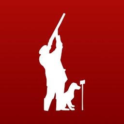 Podcast Image