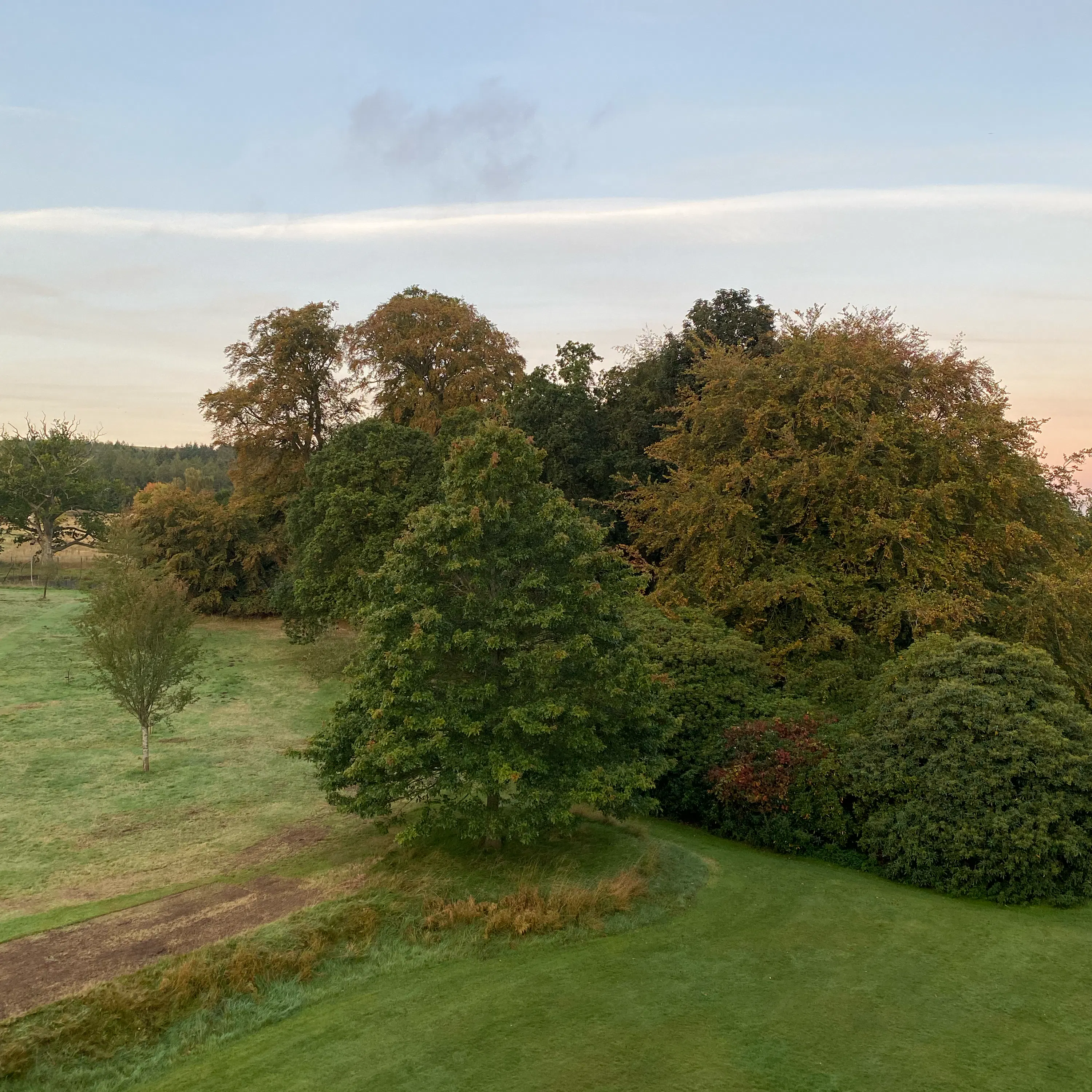 Sound Escape 295. Wake to the delightful chirpings of Scottish birdlife