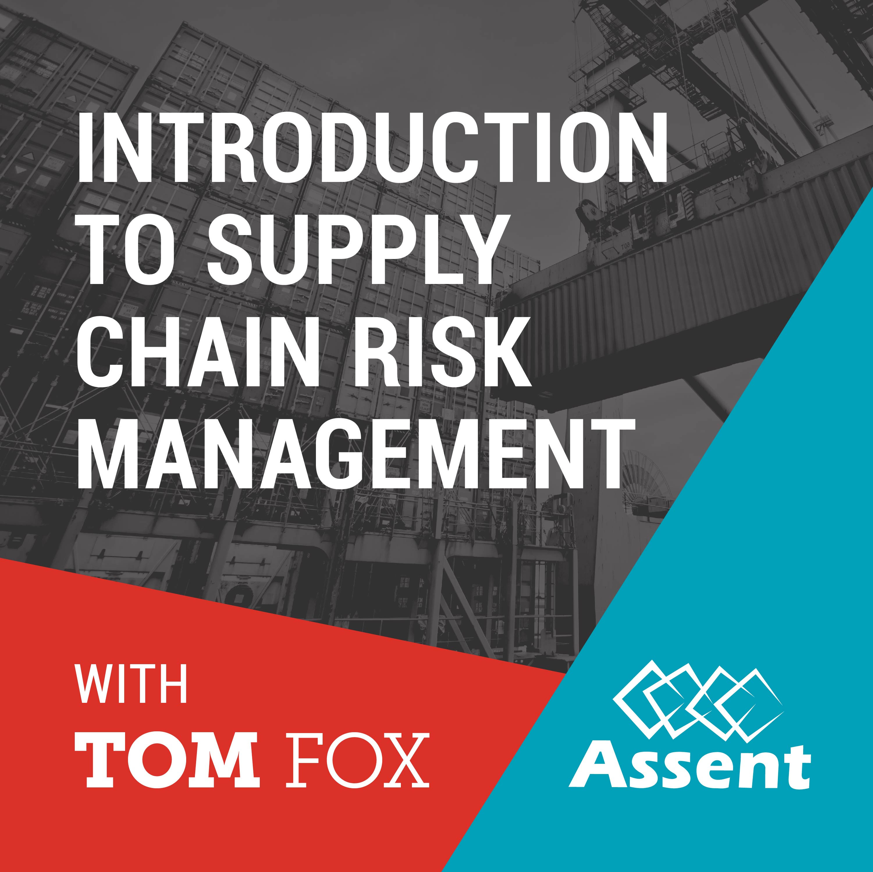 Supply Chain Data Management: Part -3, Development of Supply Chain Risk Management episode artwork