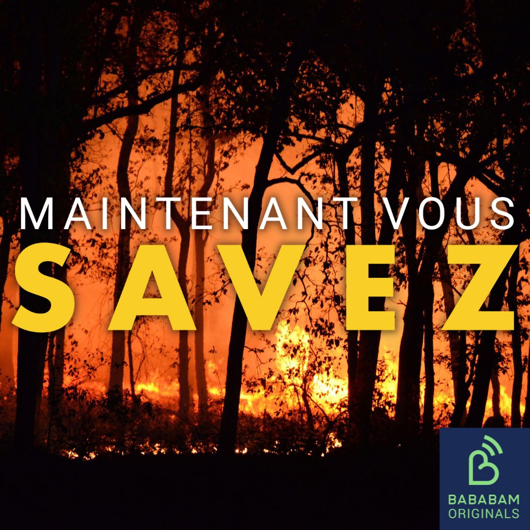 Pourquoi dit-on que le changement climatique est responsable des catastrophes naturelles ?