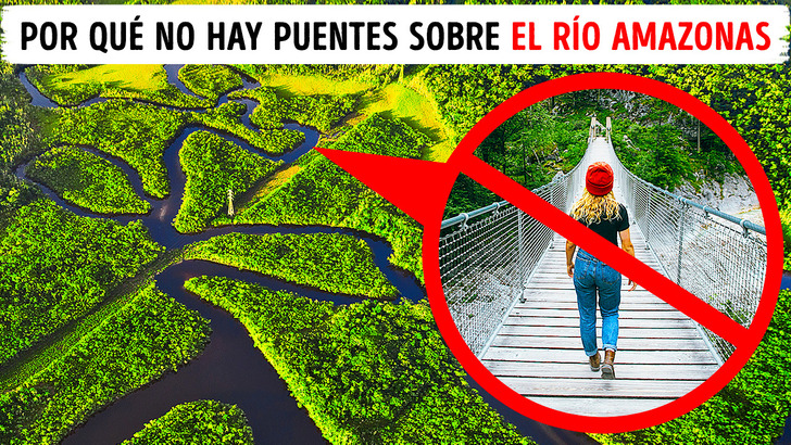 Portada de GENIAL