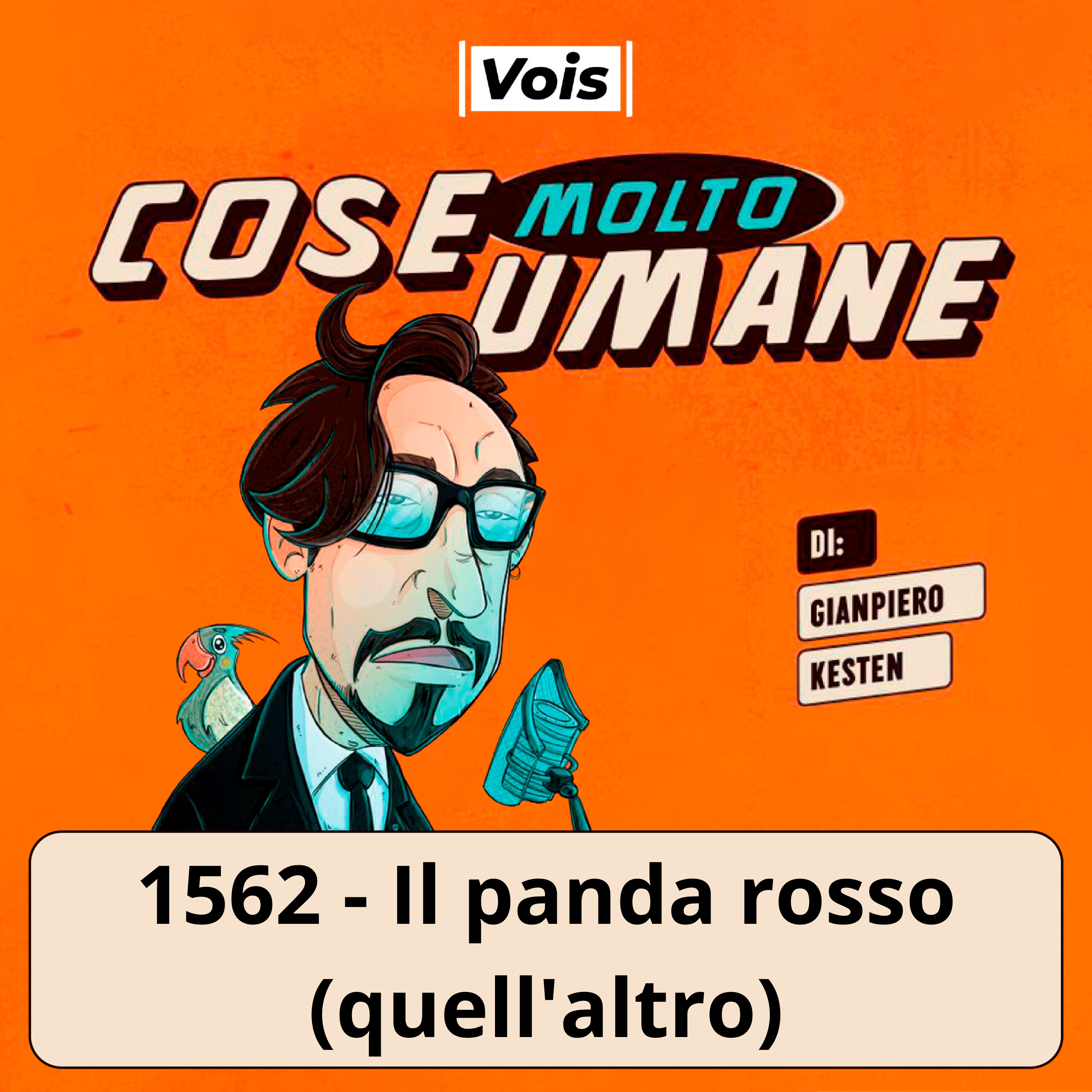 1562 - Il panda rosso (quell'altro)