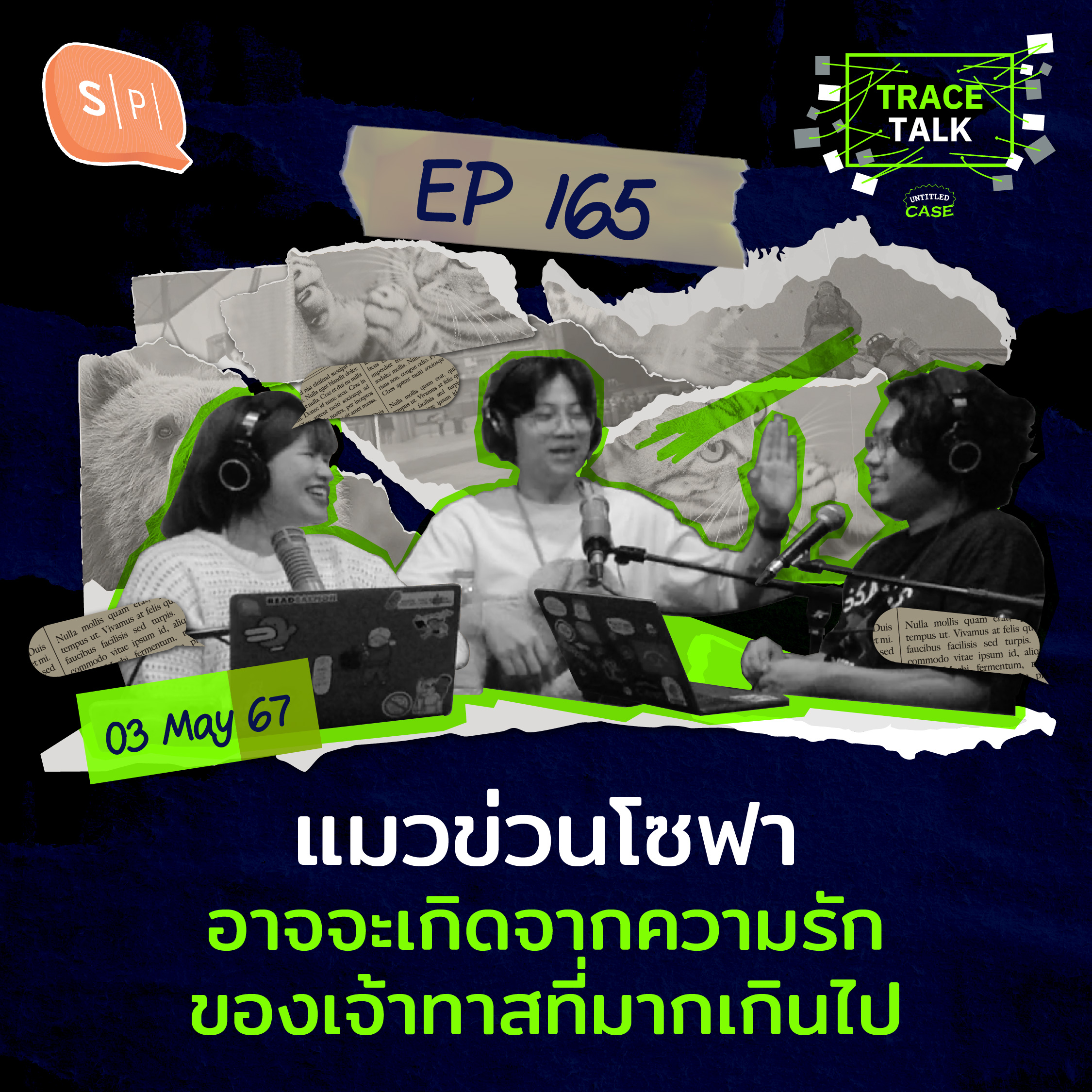 แมวข่วนโซฟา อาจจะเกิดจากความรักของเจ้าทาสที่มากเกินไป | Trace Talk EP165