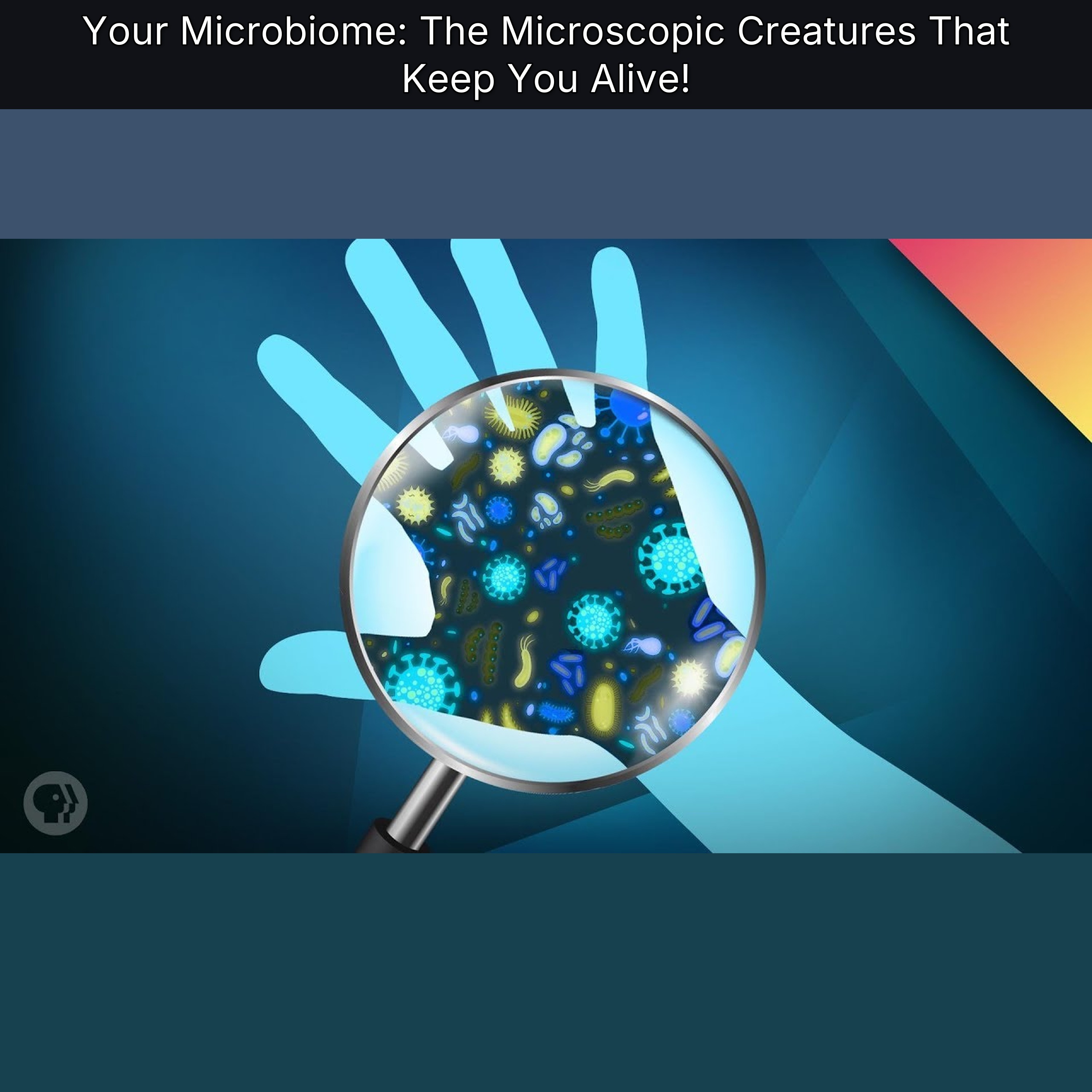 Your Microbiome: The Microscopic Creatures That Keep You Alive! episode artwork