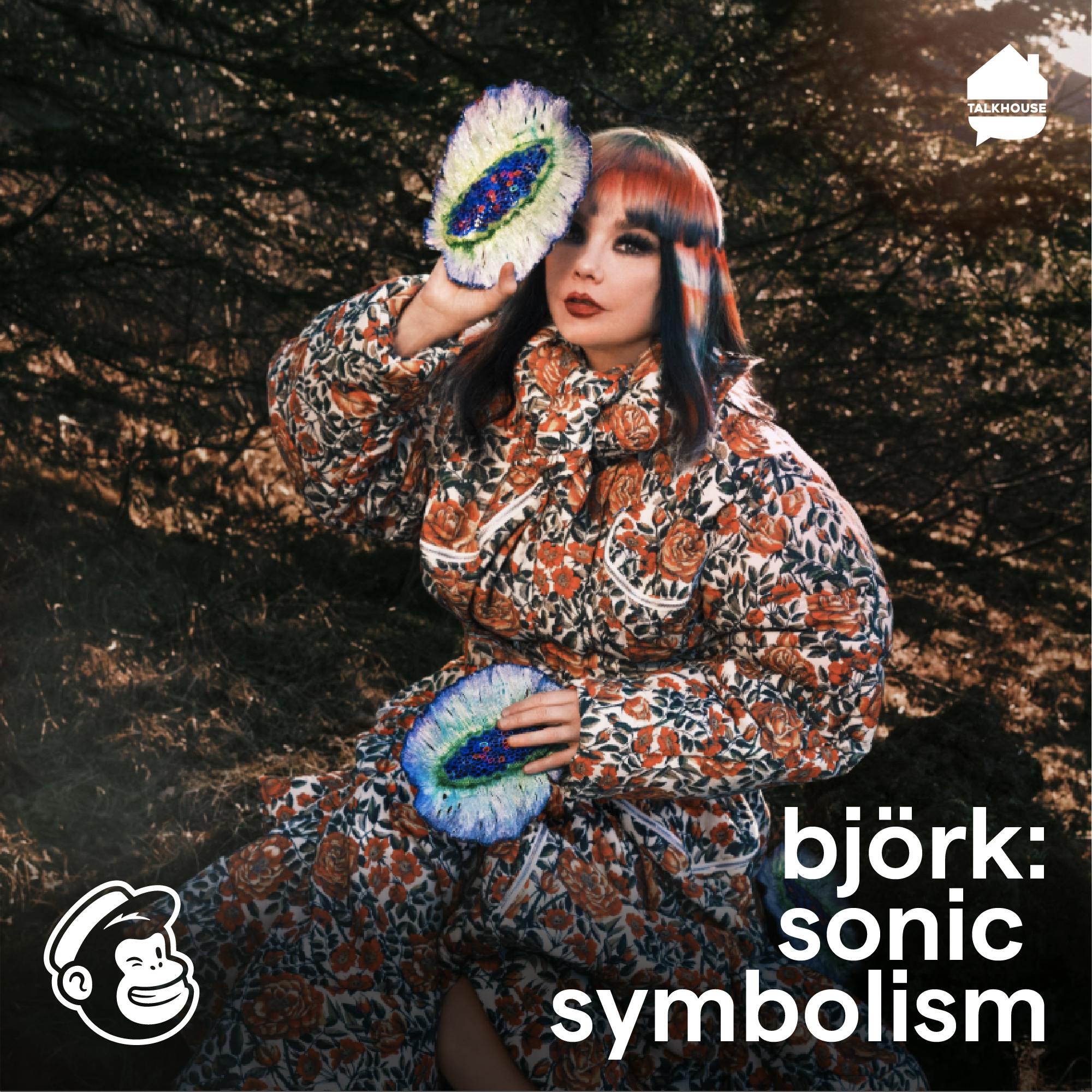 Introducing: Björk: Sonic Symbolism