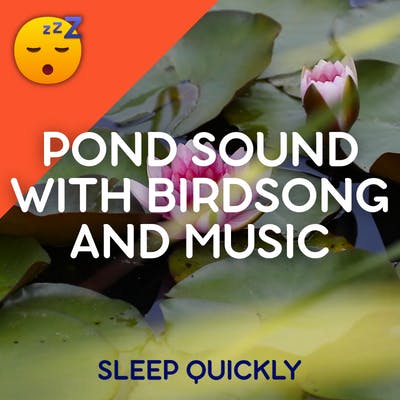 😴🍂🎵 POND Sound with BIRDSONG and MUSIC episode artwork