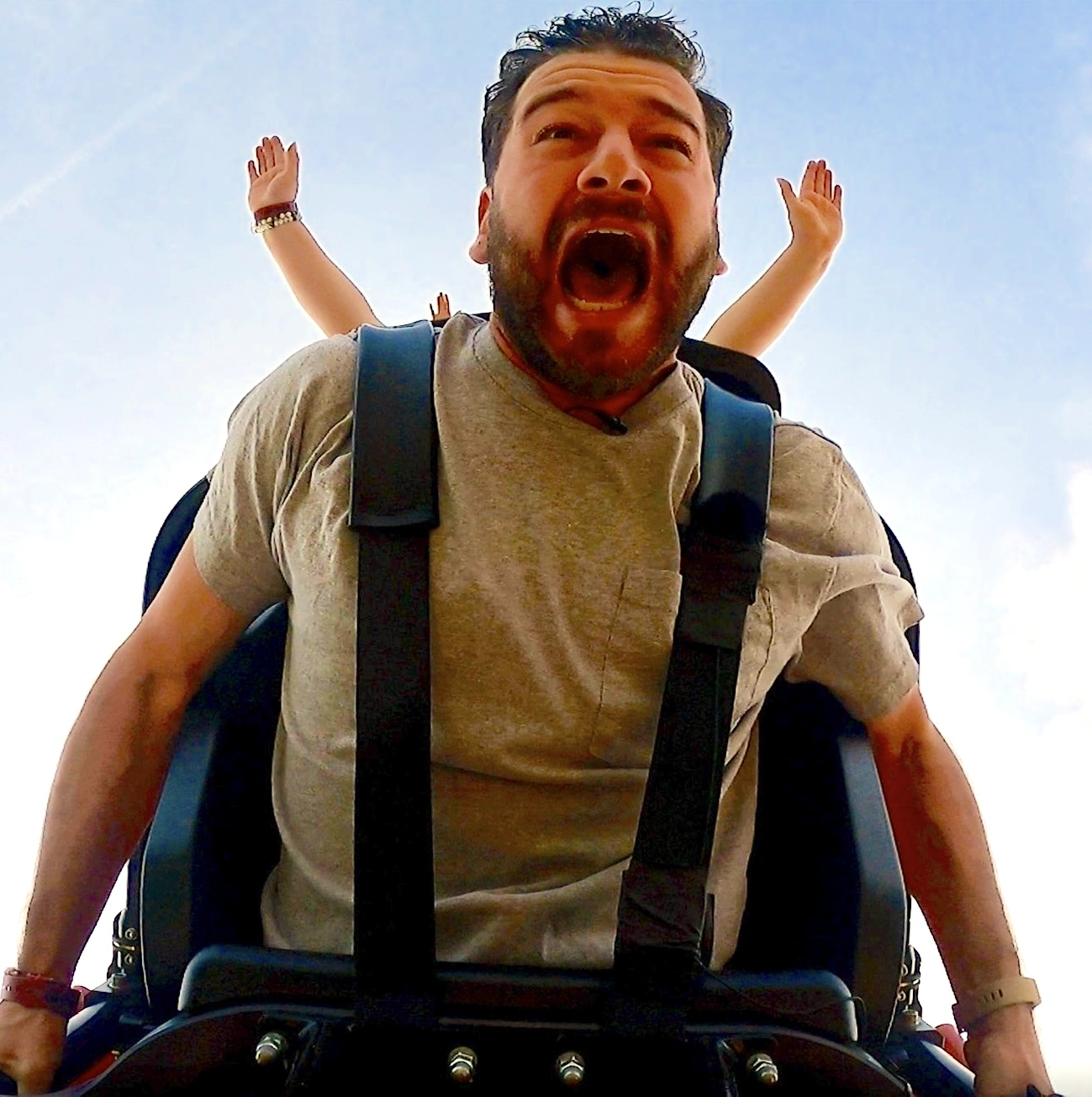 BONUS!  All 13 Roller Coasters at Six Flags Great Adventure, Ranked! episode artwork